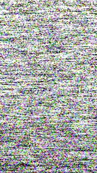 festival_v4+copy.gif