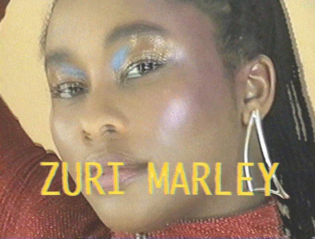 VIBES-Detail-FestivalZuri-min.gif