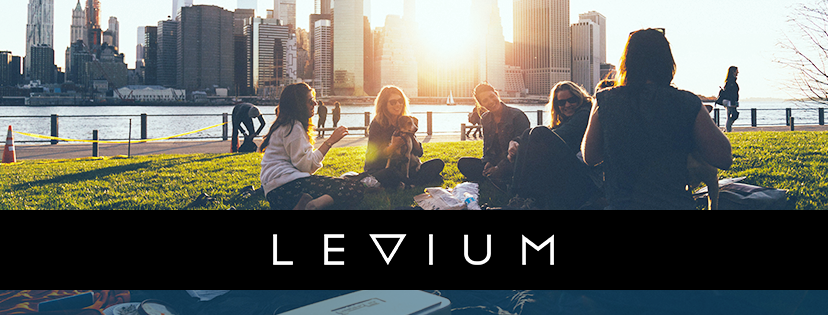 Levium_fb_cover_template2017a.png