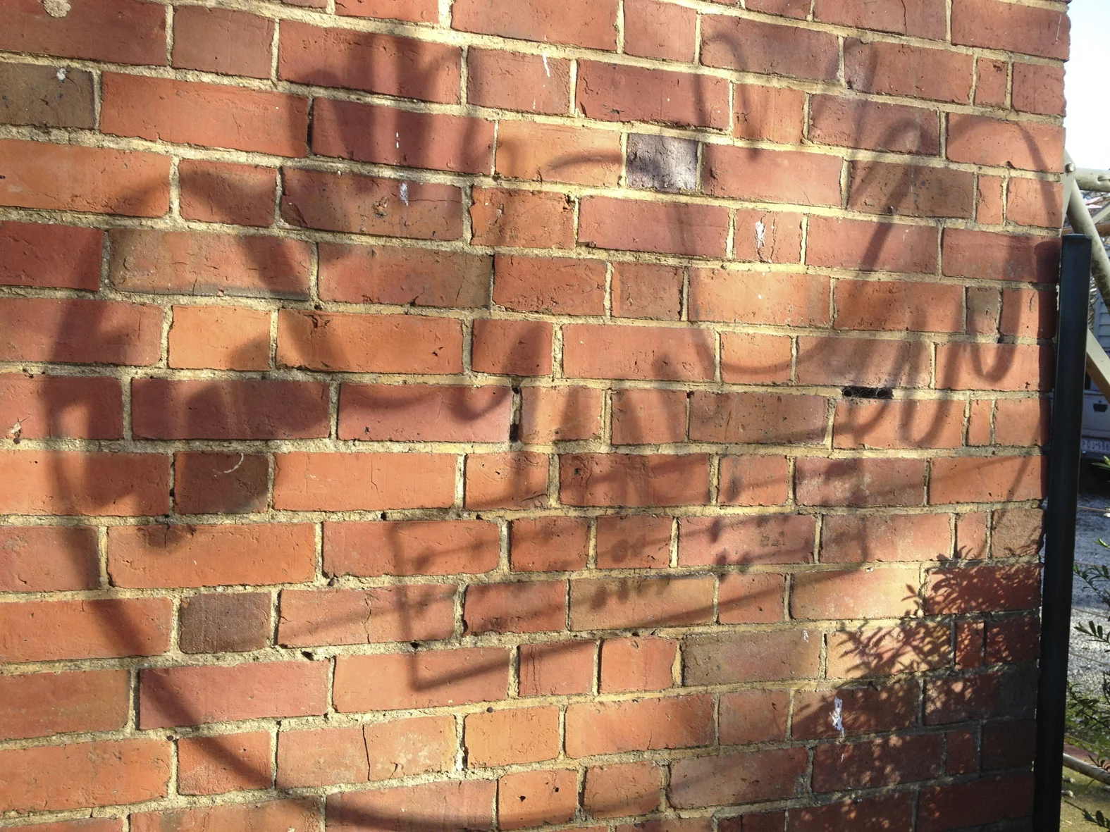  COUNTING BY HAND (SHADOW) 
