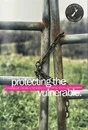 protecting-the-vulnerable.jpg