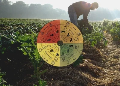 biodynamic farming.jpg