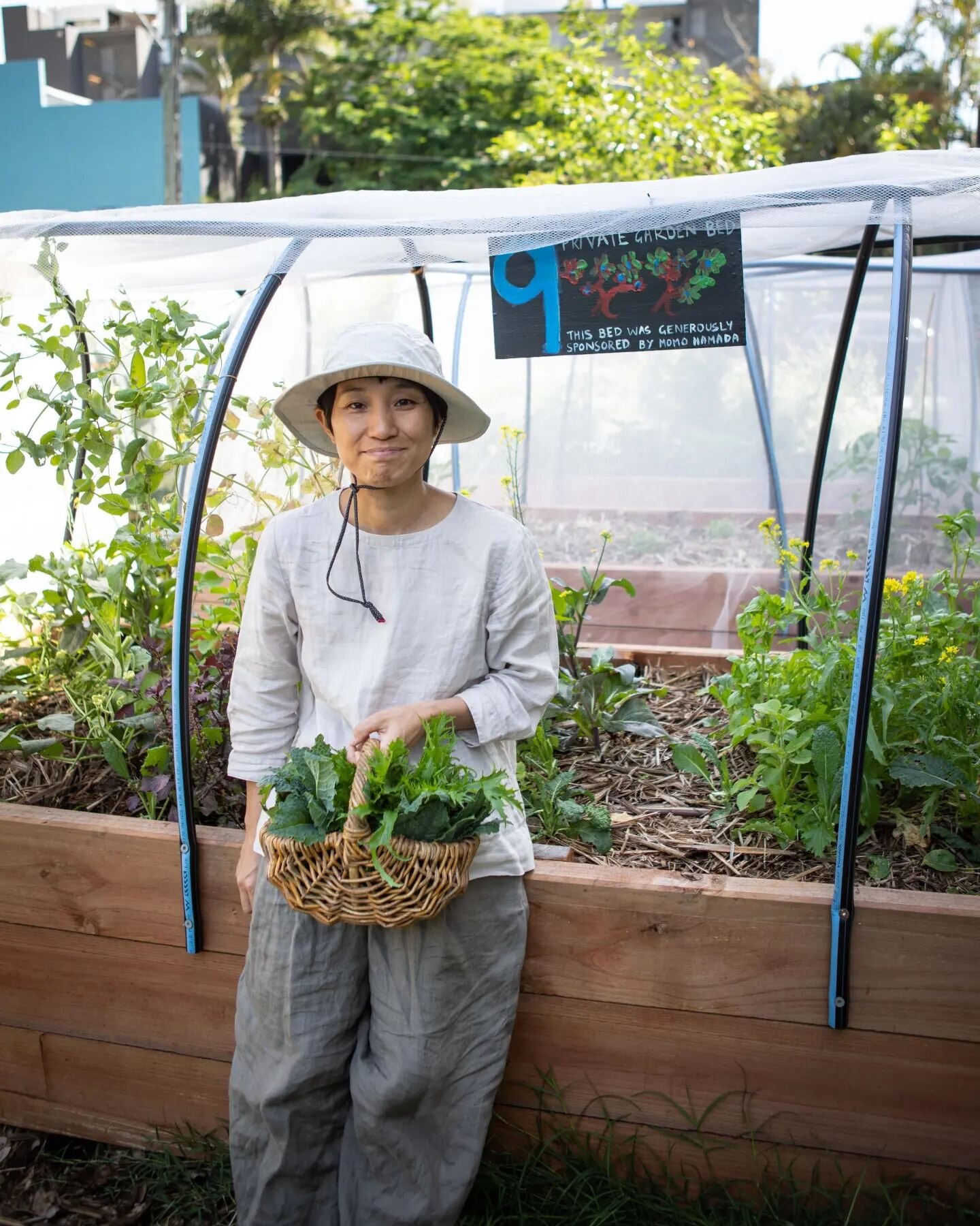 I would like to welcome our current garden plot renters. 
Momo, evan, zuzanne and Sally 

I would also like to thank 
- Evan from 'here we grow' https://www.herewegrow.com.au/ 
- Sally from @arethusacollege 
- @momo_piano_synth 
- And @kurilpafutures