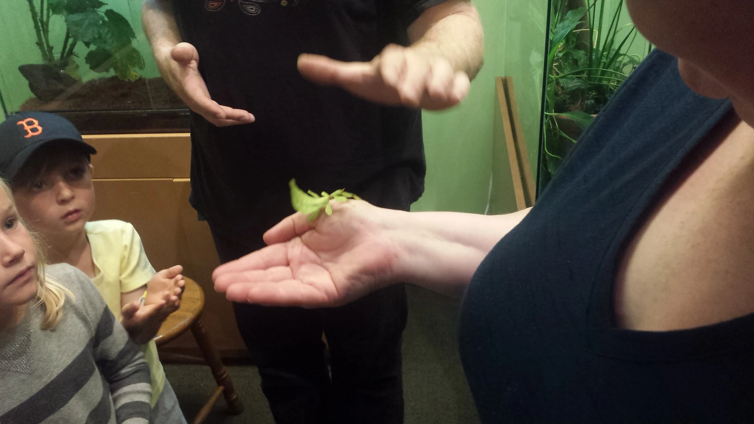 20160622_151653.jpg