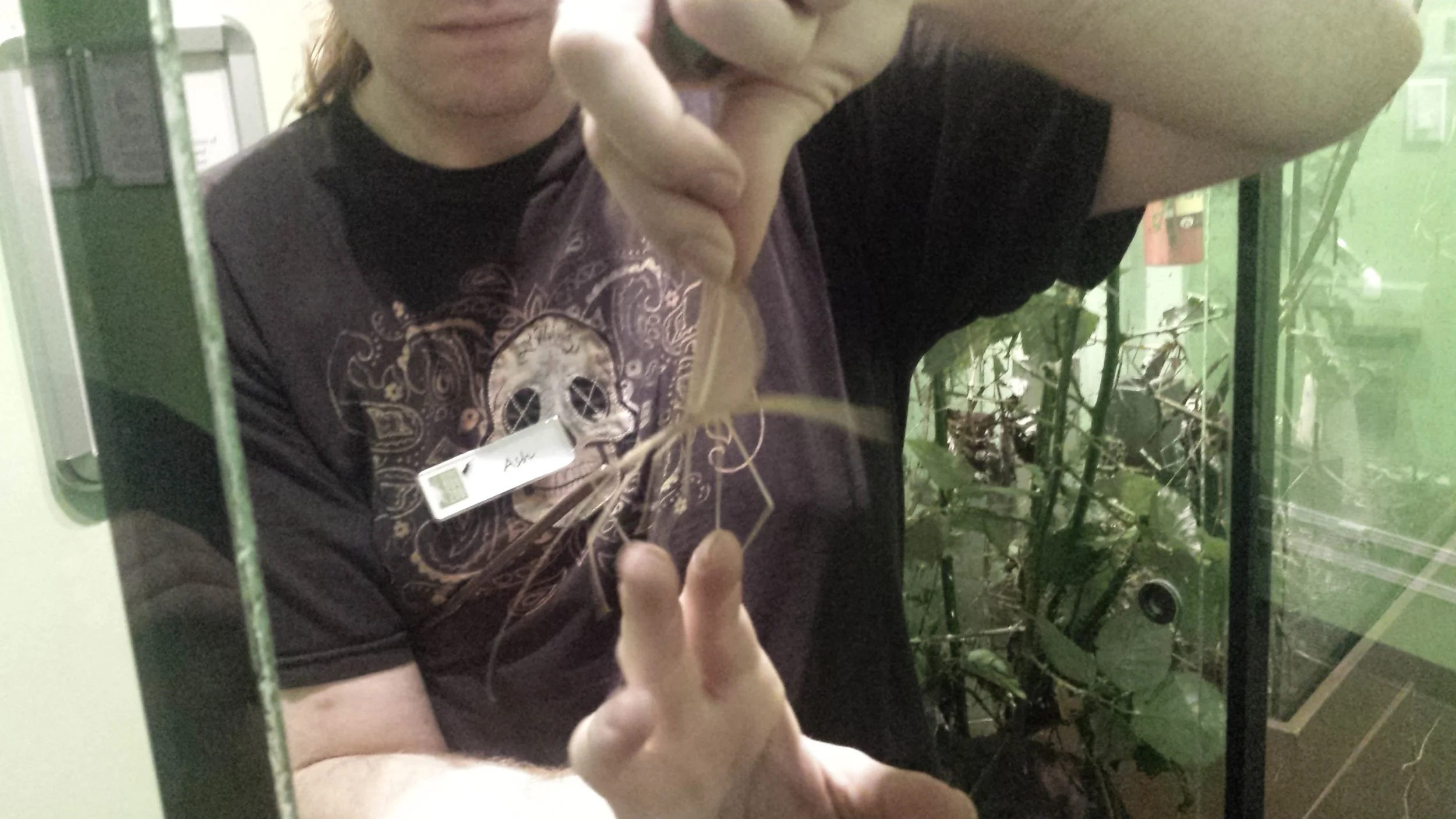 20160622_152427.jpg