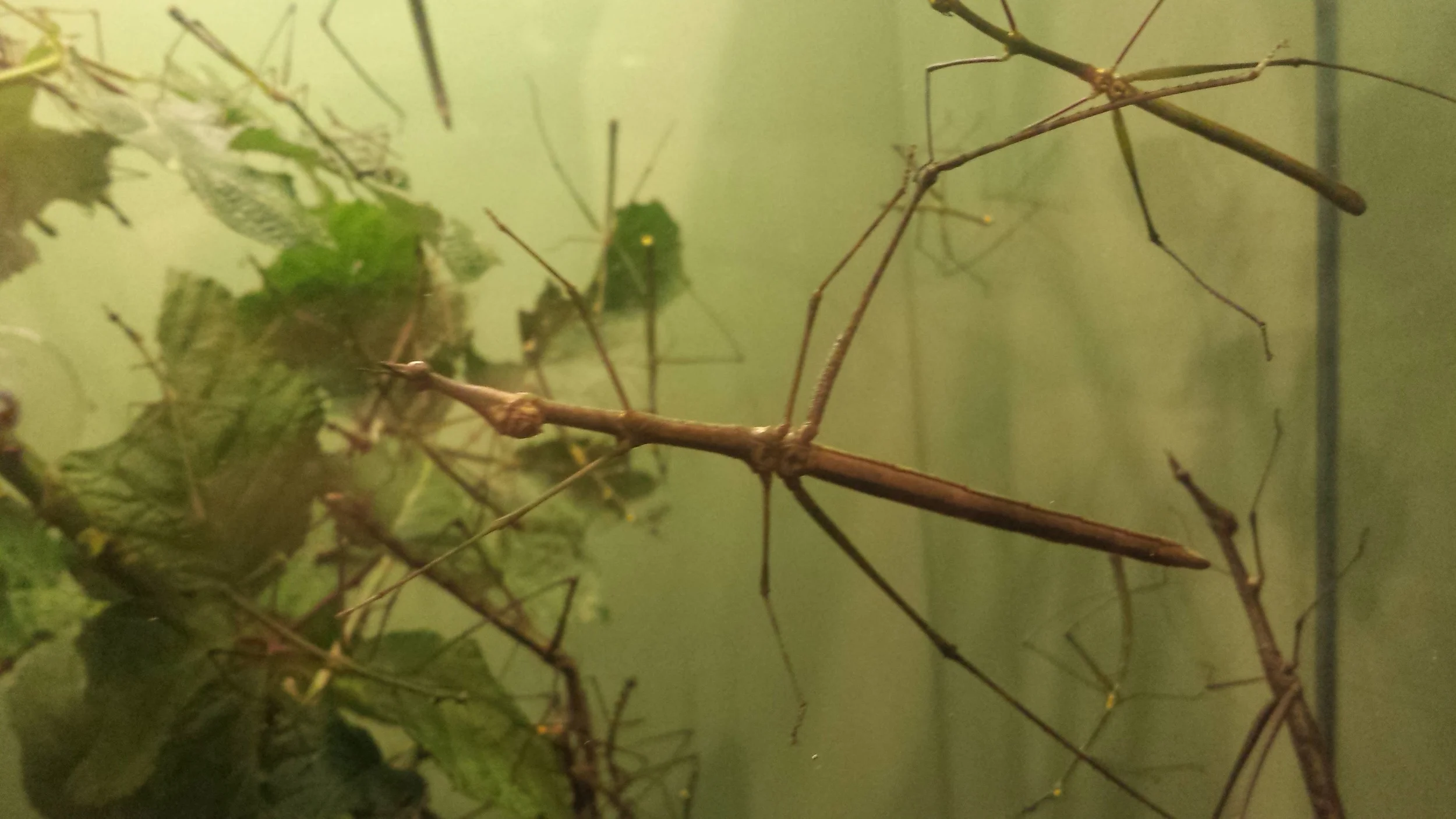 20160622_152517.jpg
