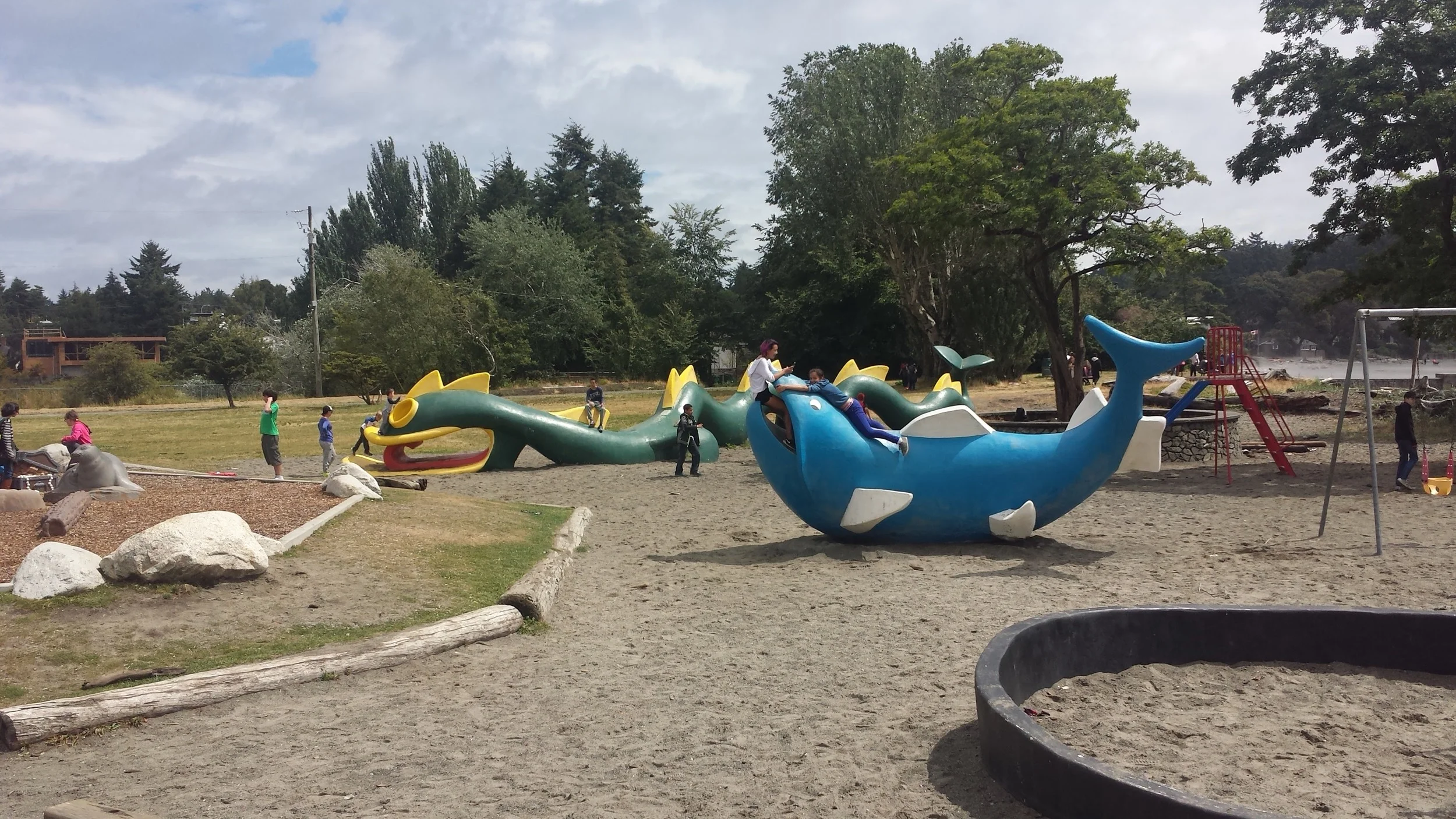 20160623_115116.jpg