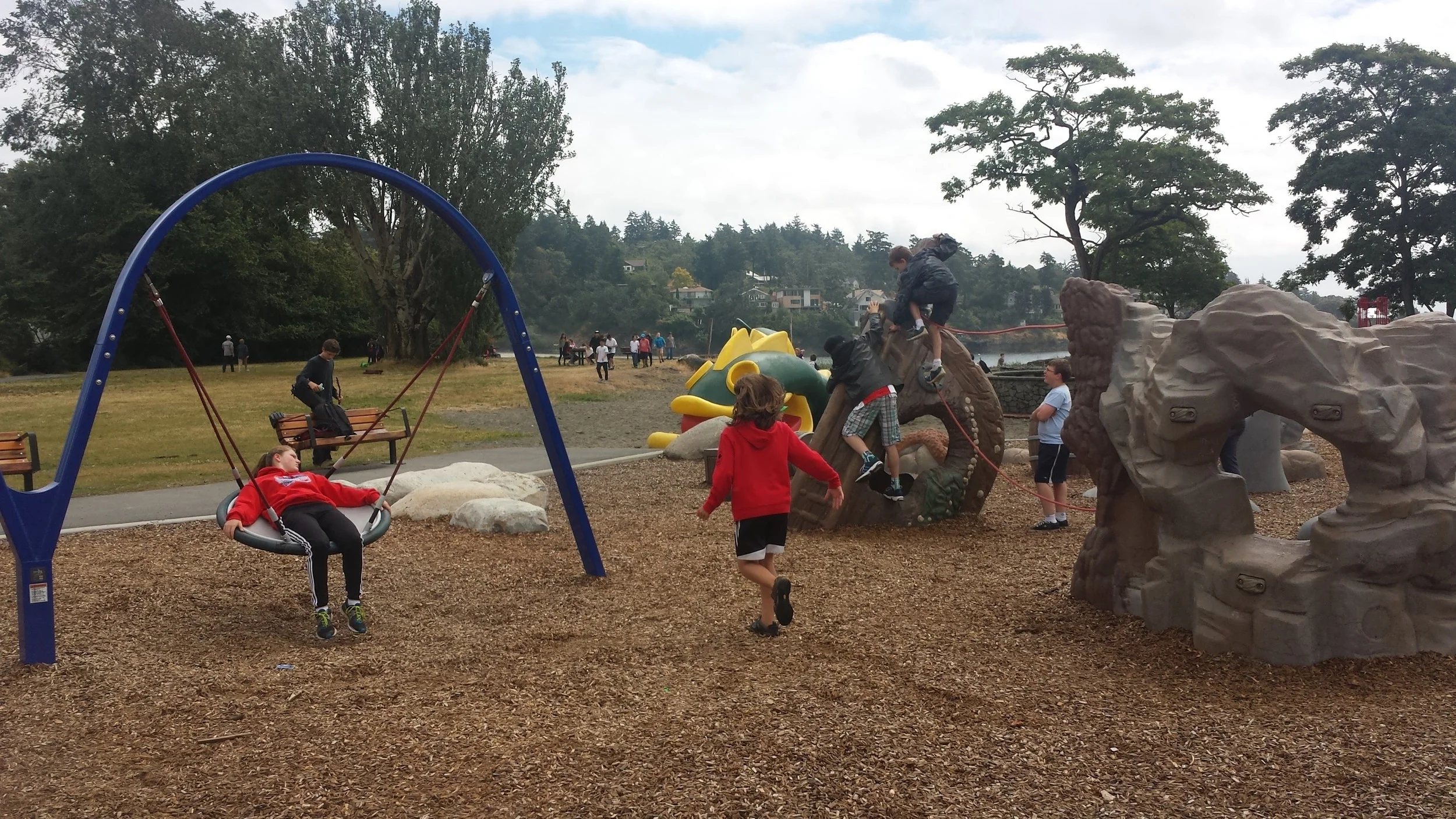 20160623_115207.jpg