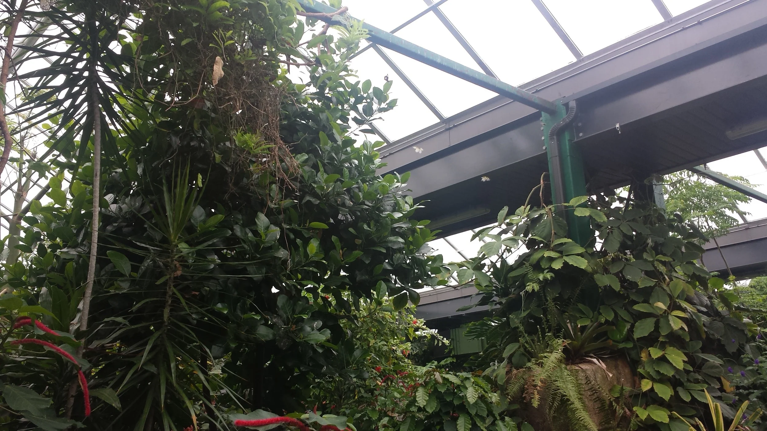 20160623_123625.jpg