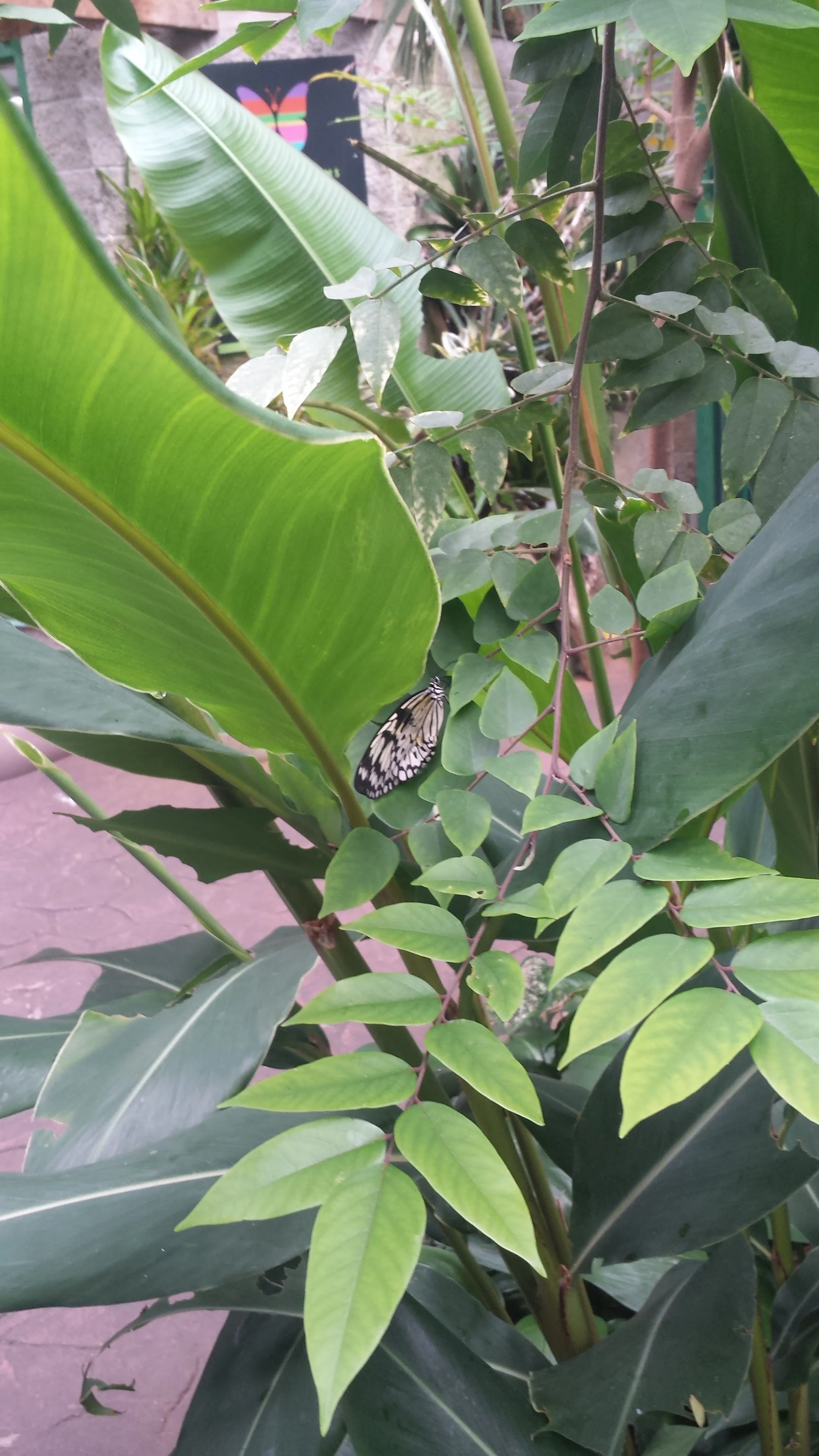 20160623_123849.jpg