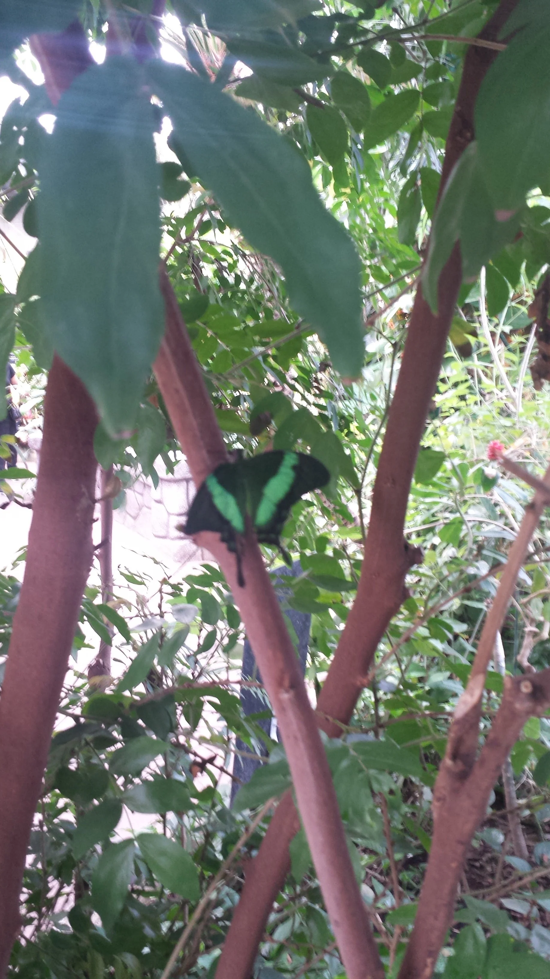 20160623_124055.jpg