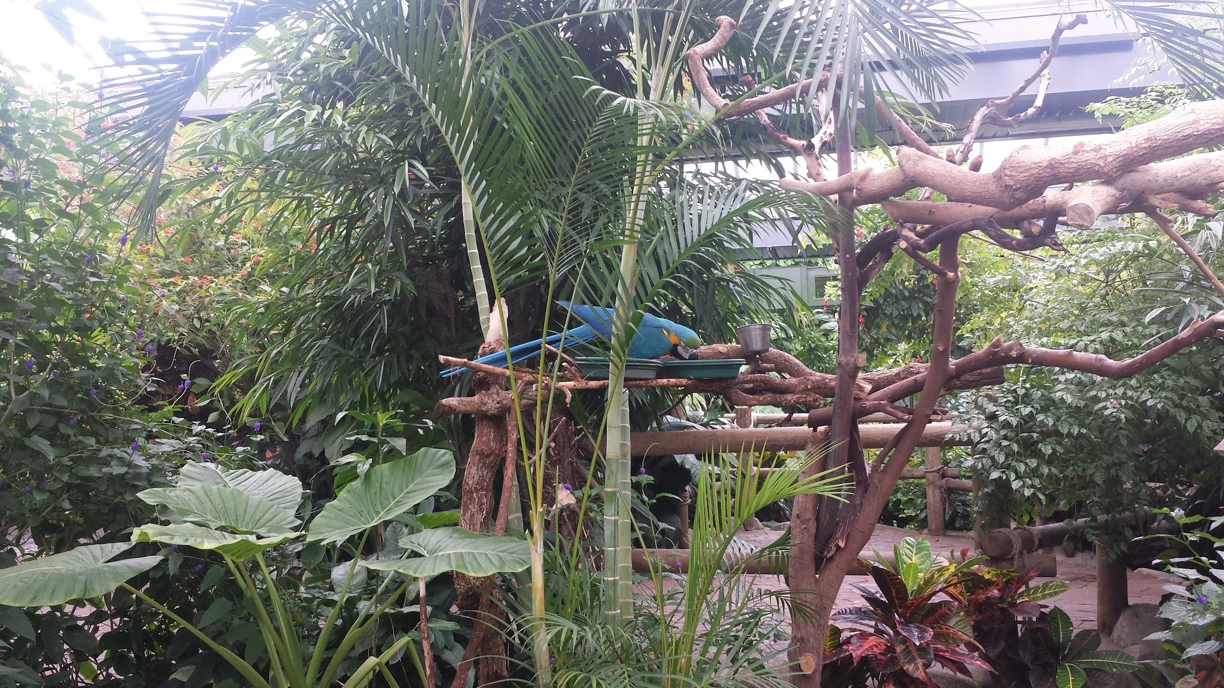 20160623_124011.jpg