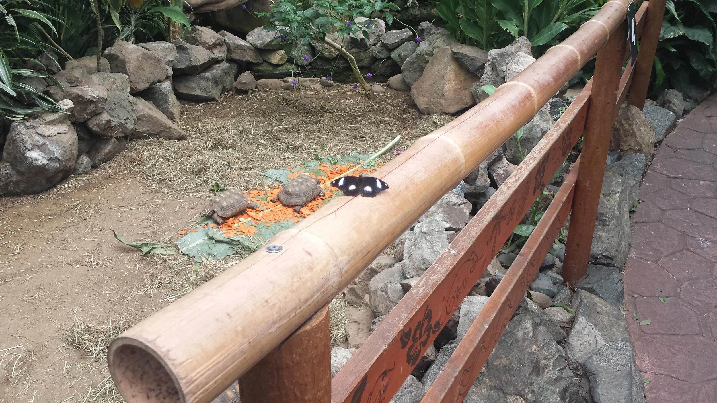 20160623_124137.jpg