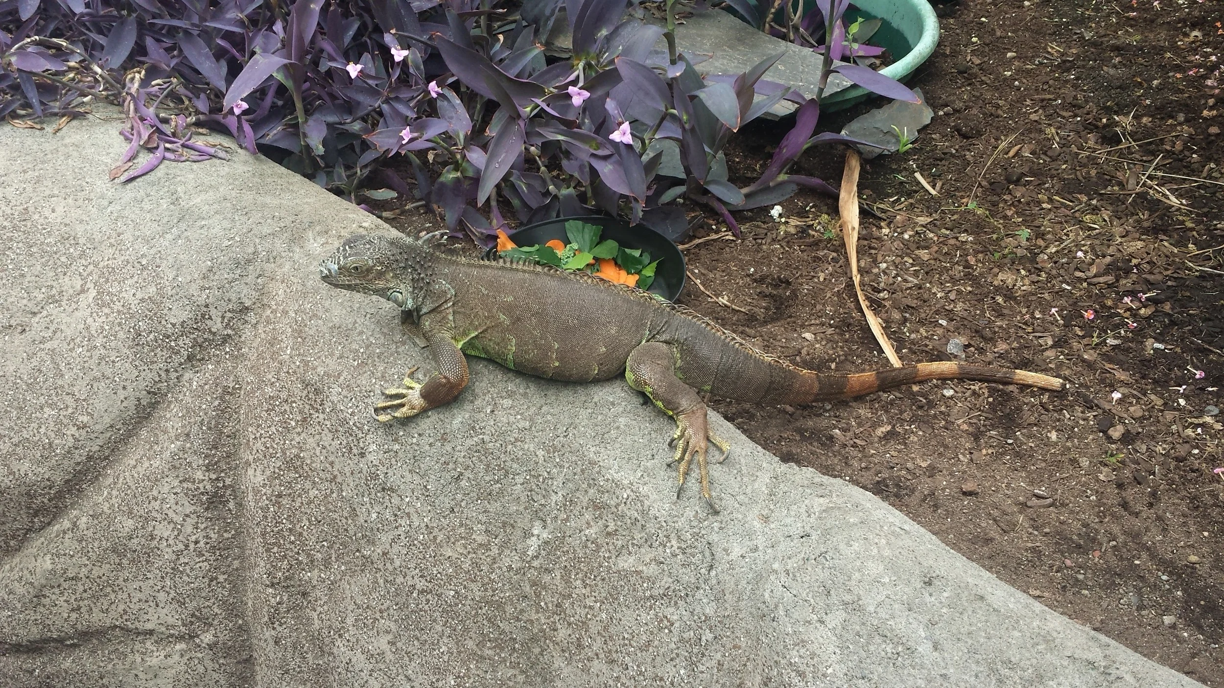 20160623_124303.jpg