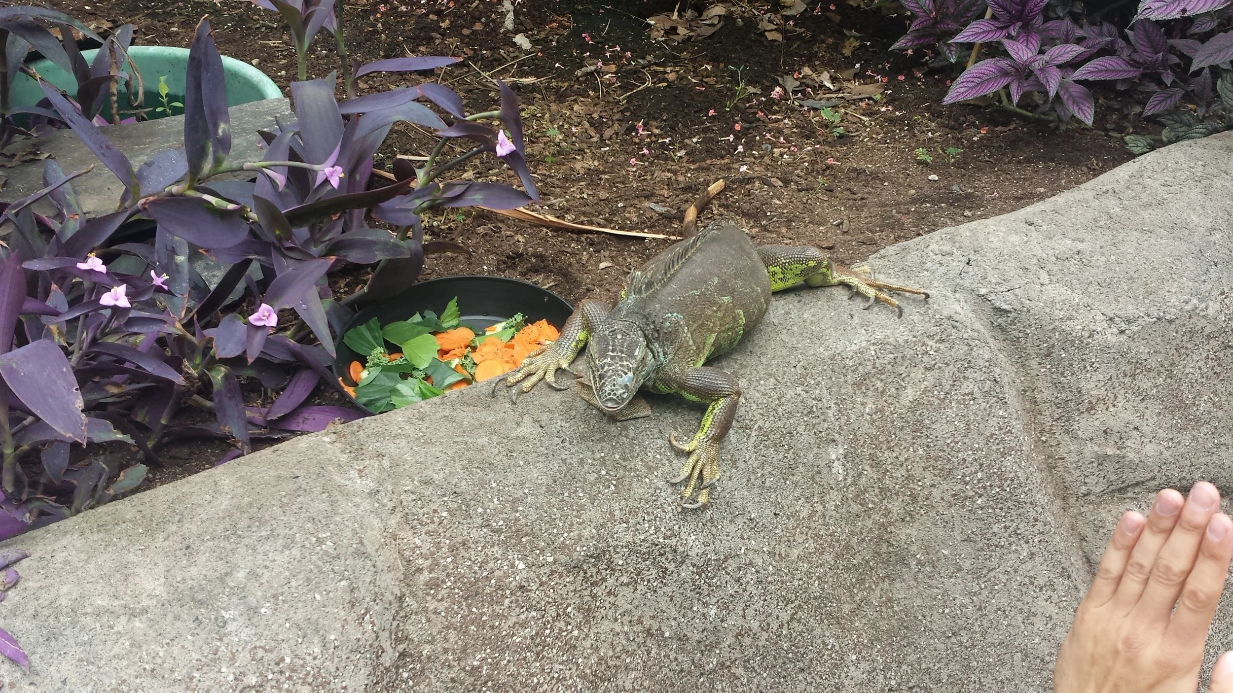 20160623_124353.jpg