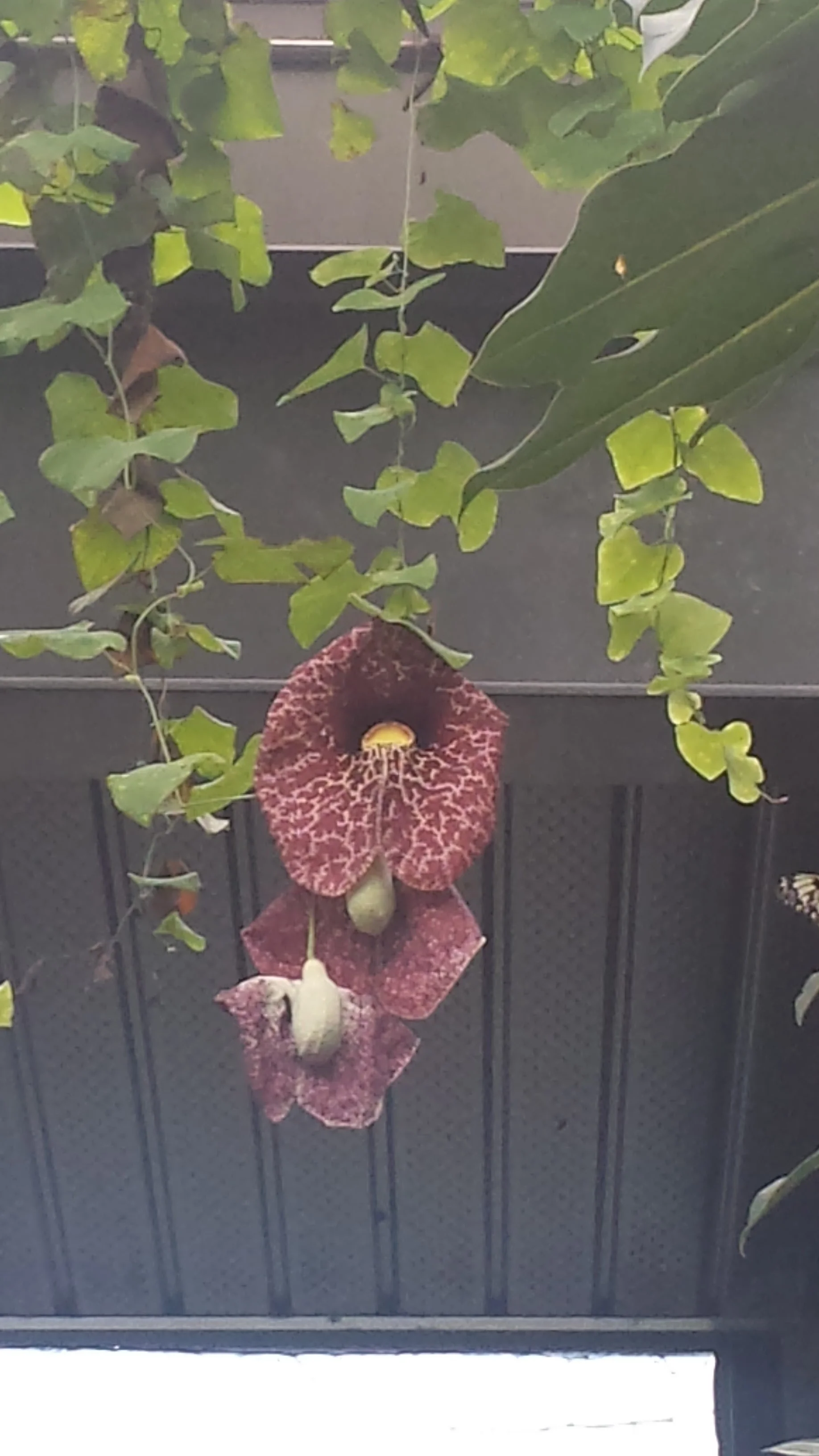 20160623_124425.jpg