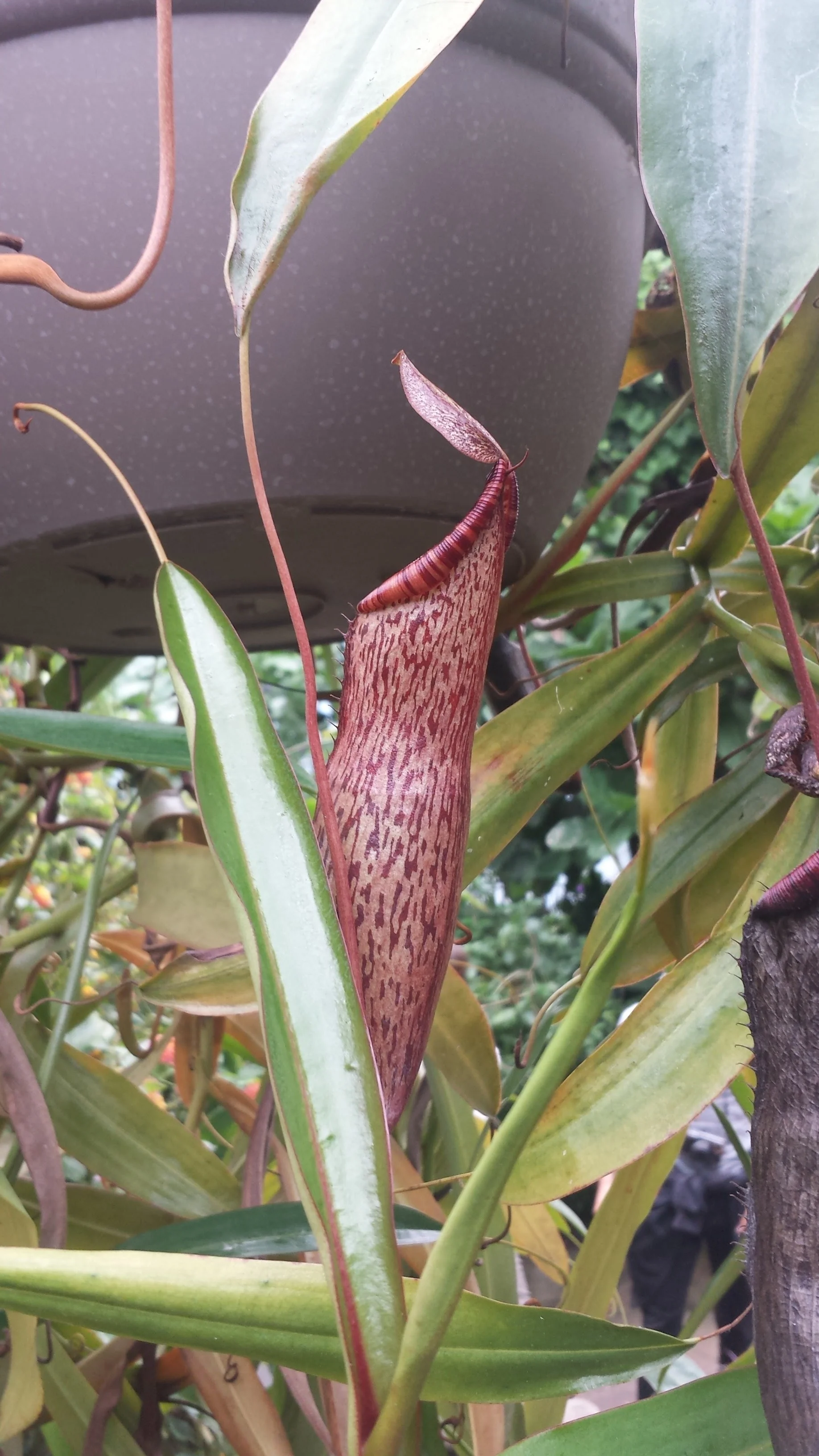 20160623_124507.jpg
