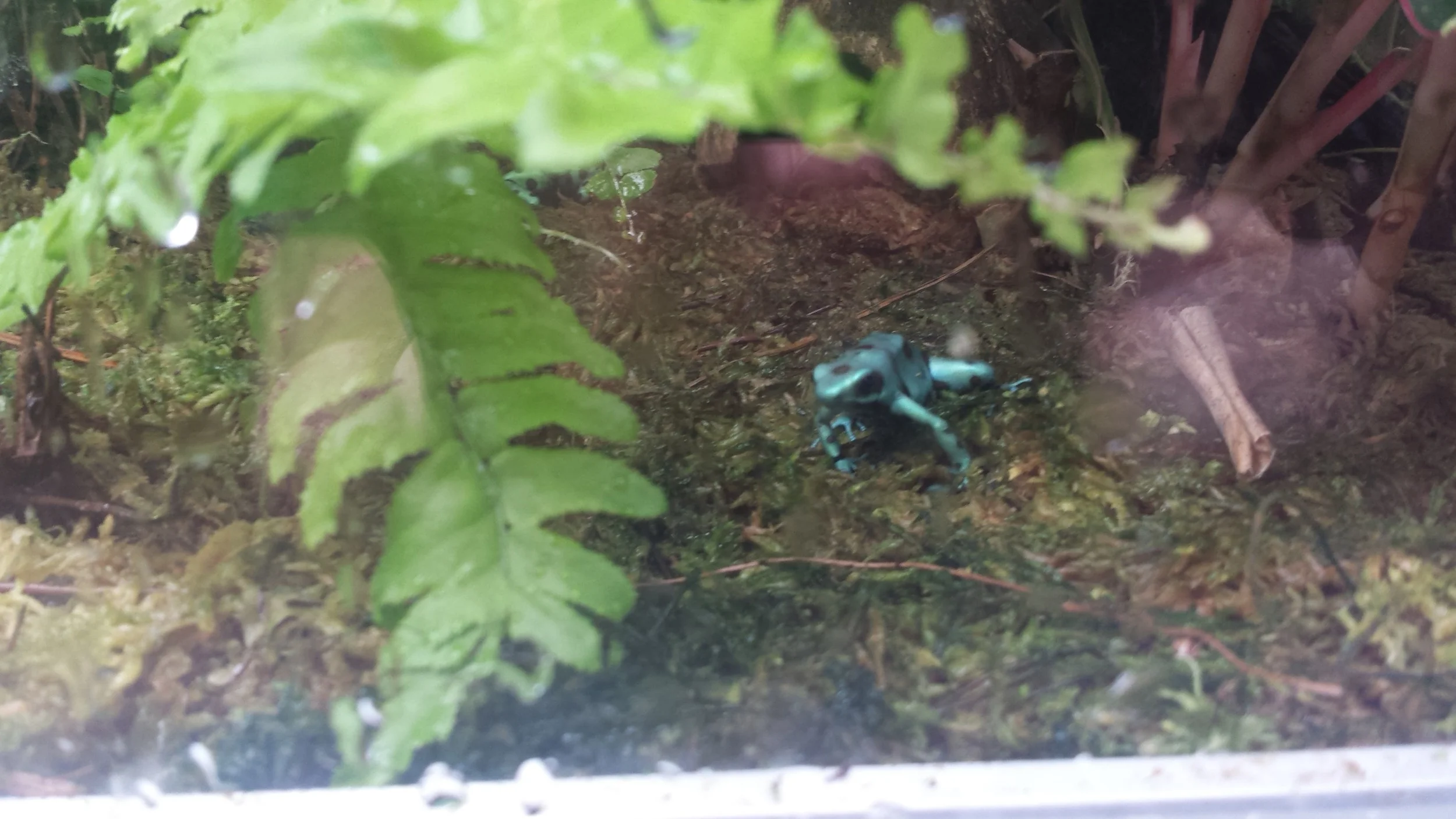 20160623_124727.jpg