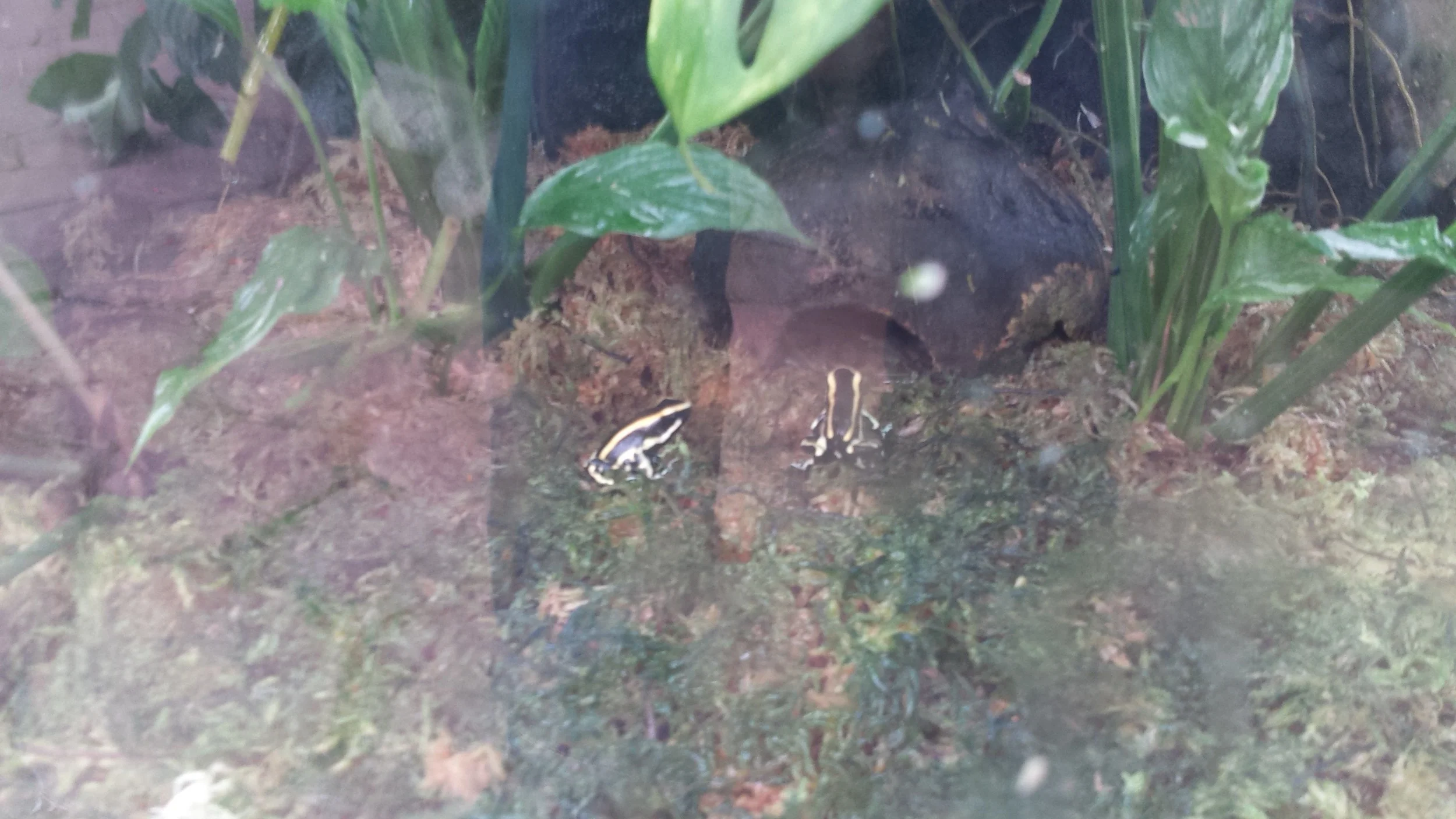 20160623_124840.jpg