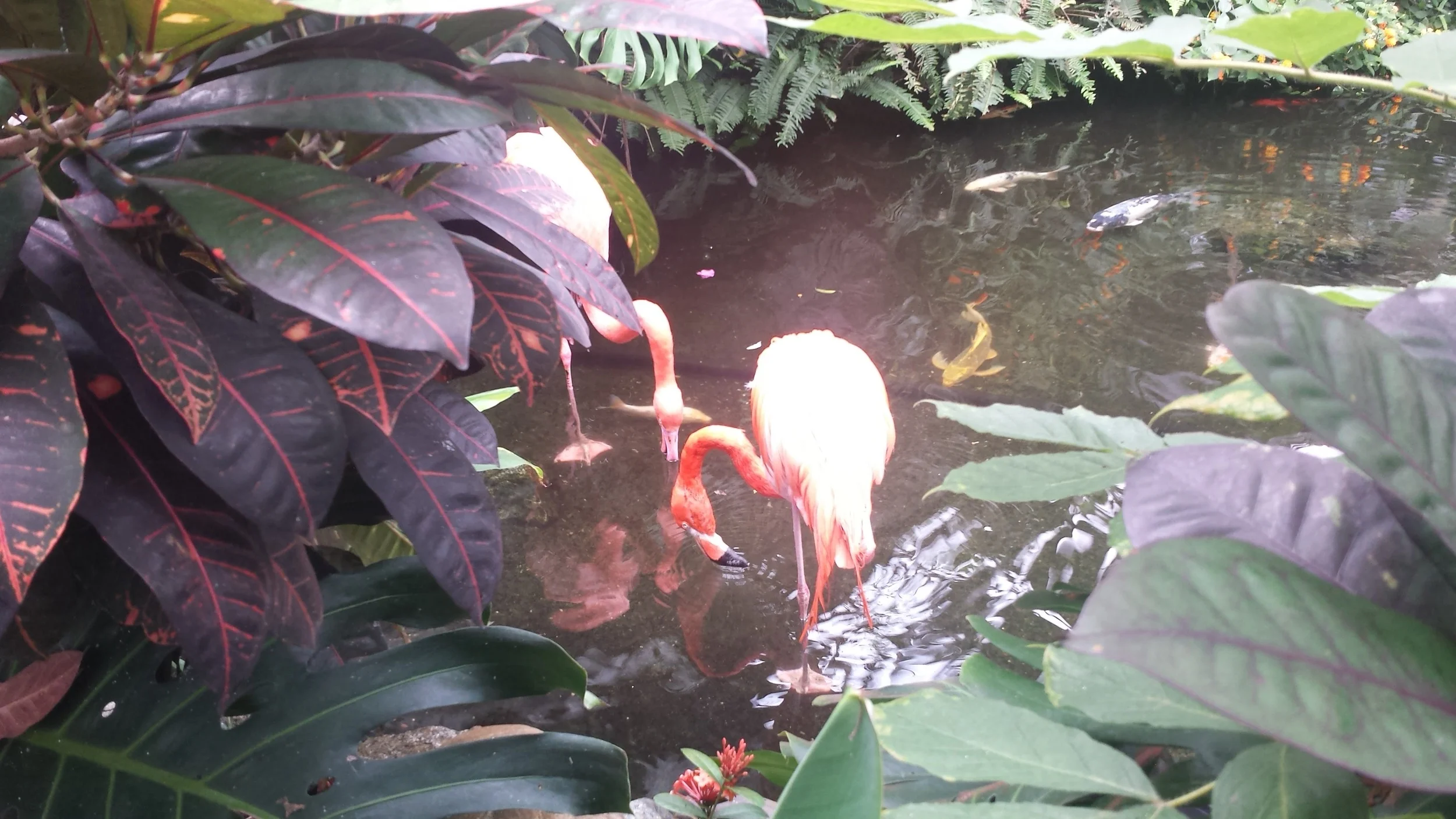 20160623_124940.jpg