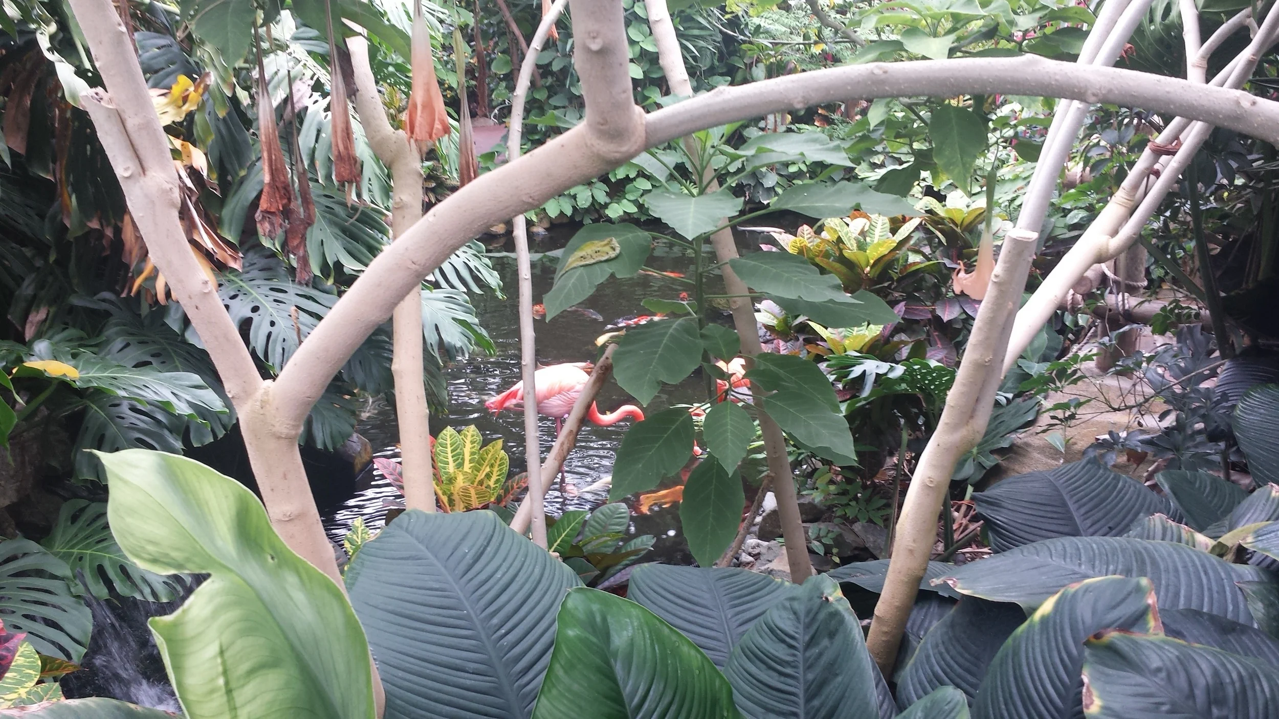 20160623_124852.jpg
