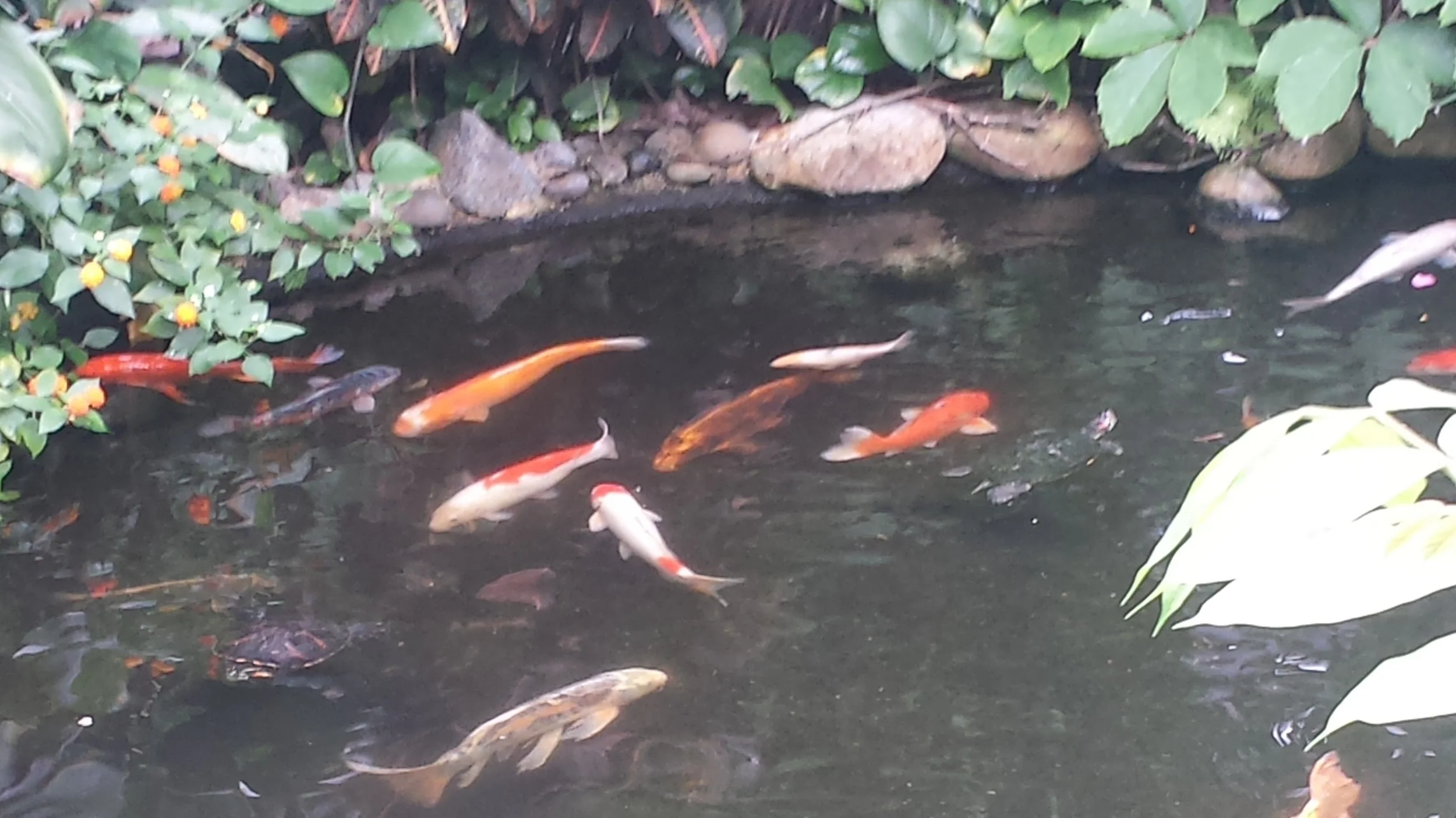 20160623_125021.jpg
