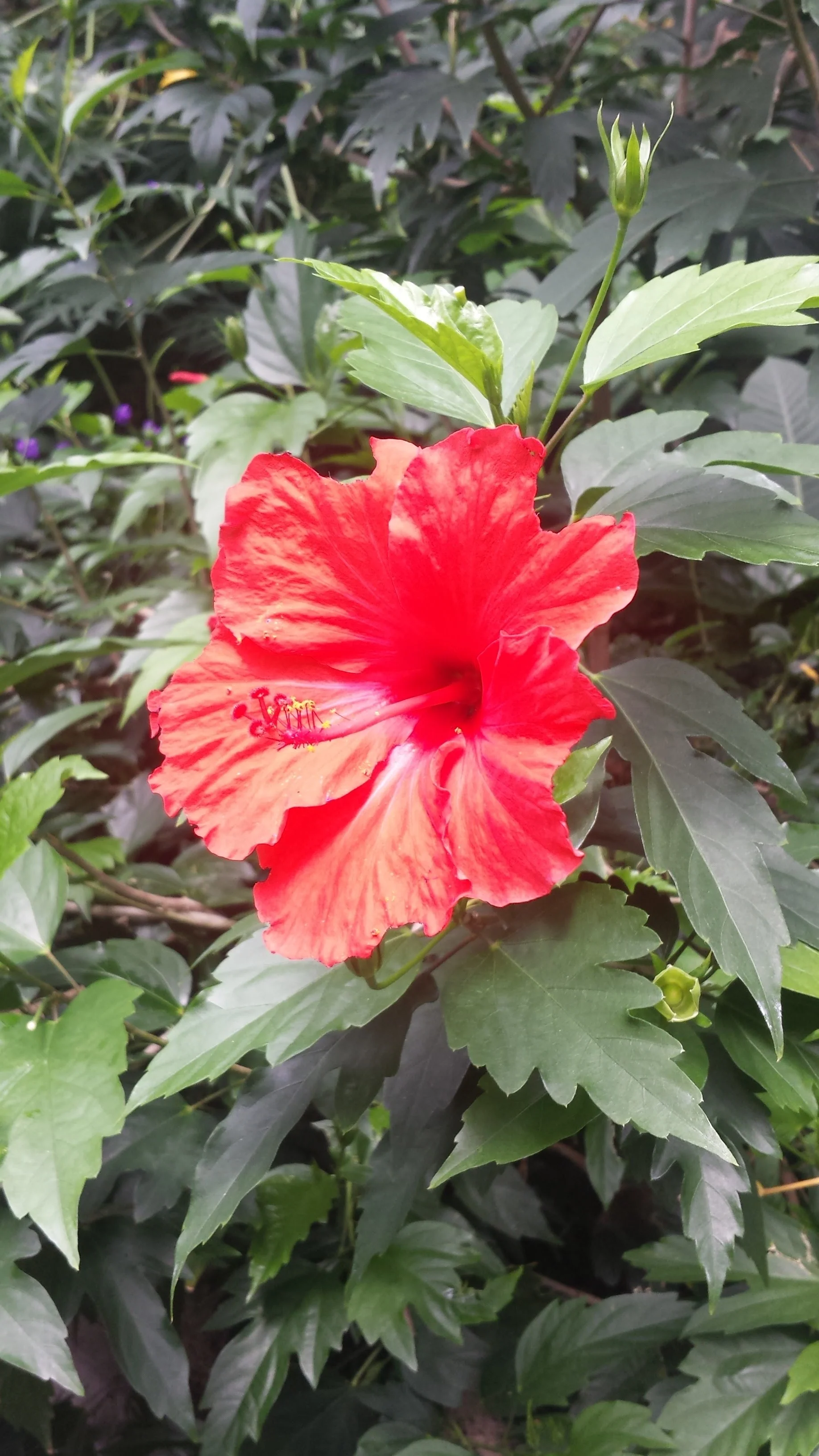 20160623_125500.jpg