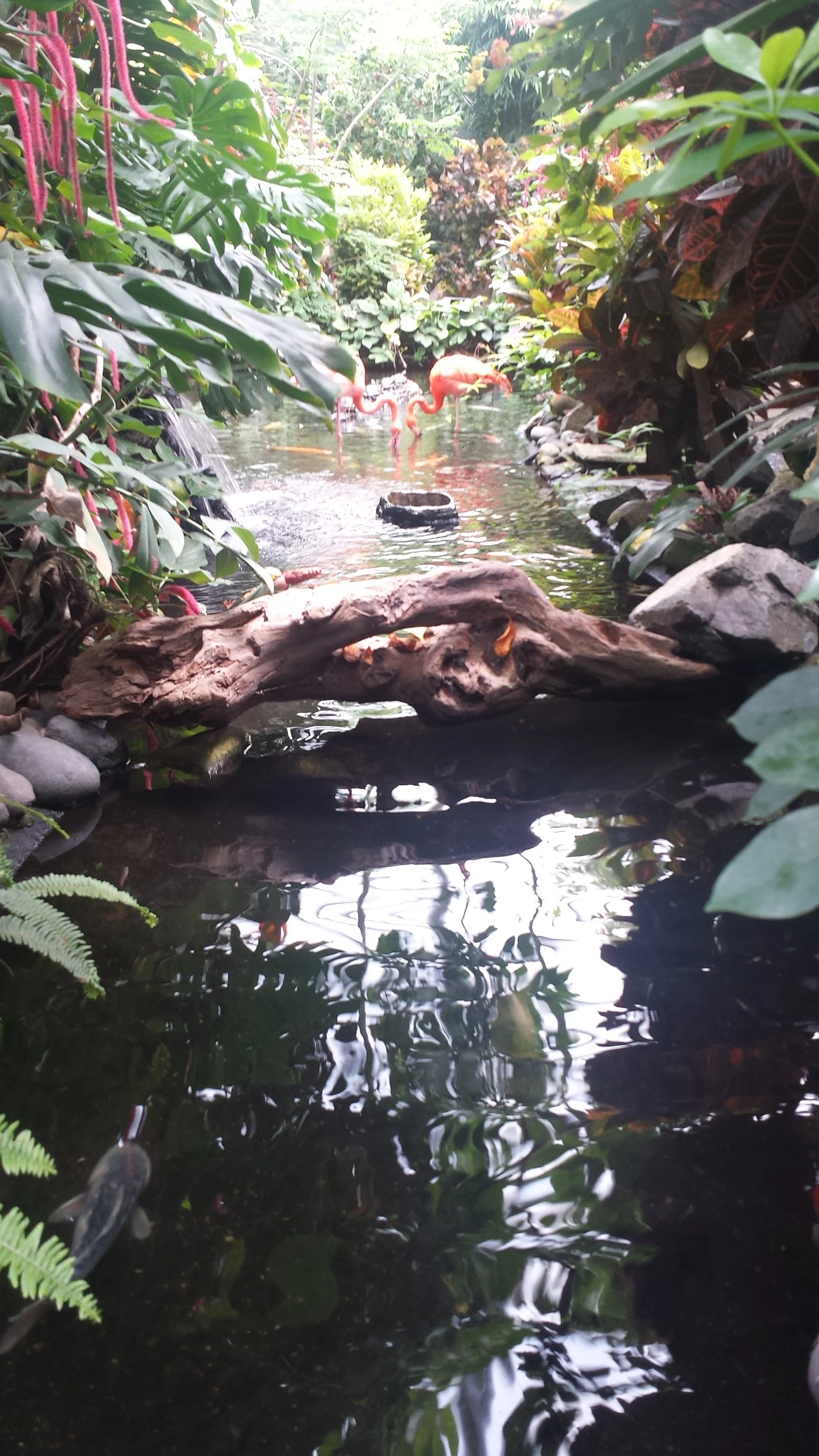 20160623_125410.jpg