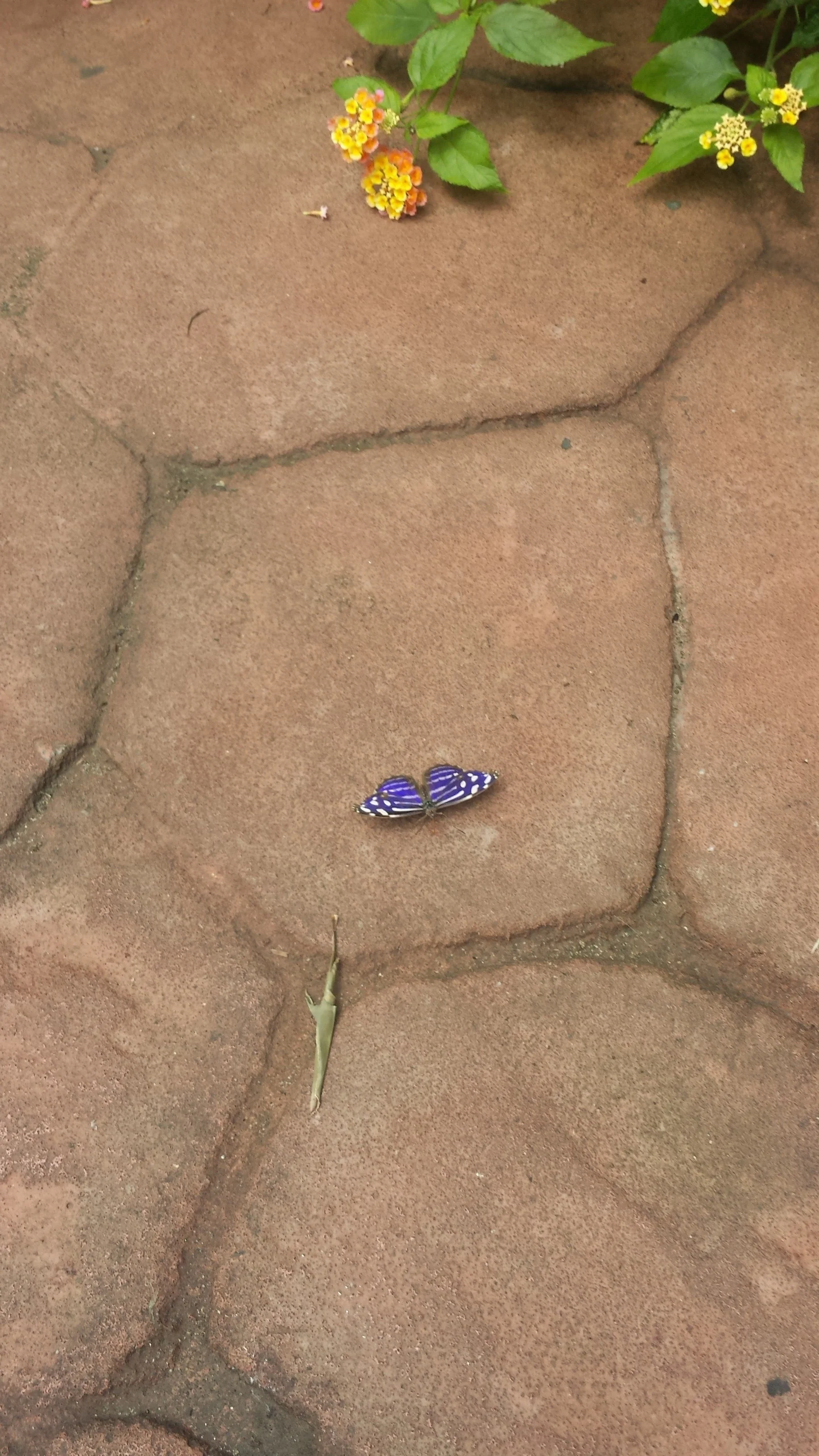 20160623_125525.jpg