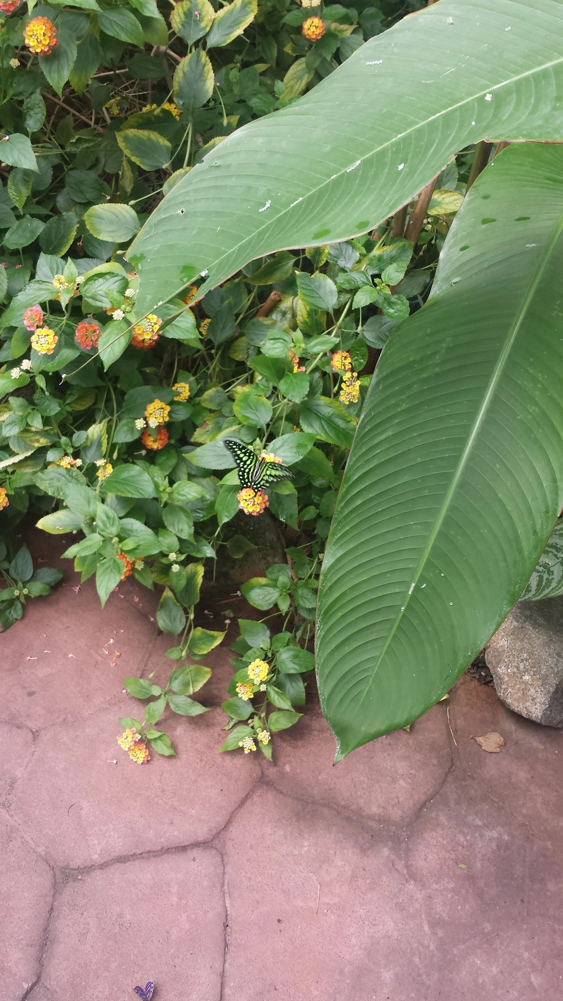 20160623_125535.jpg