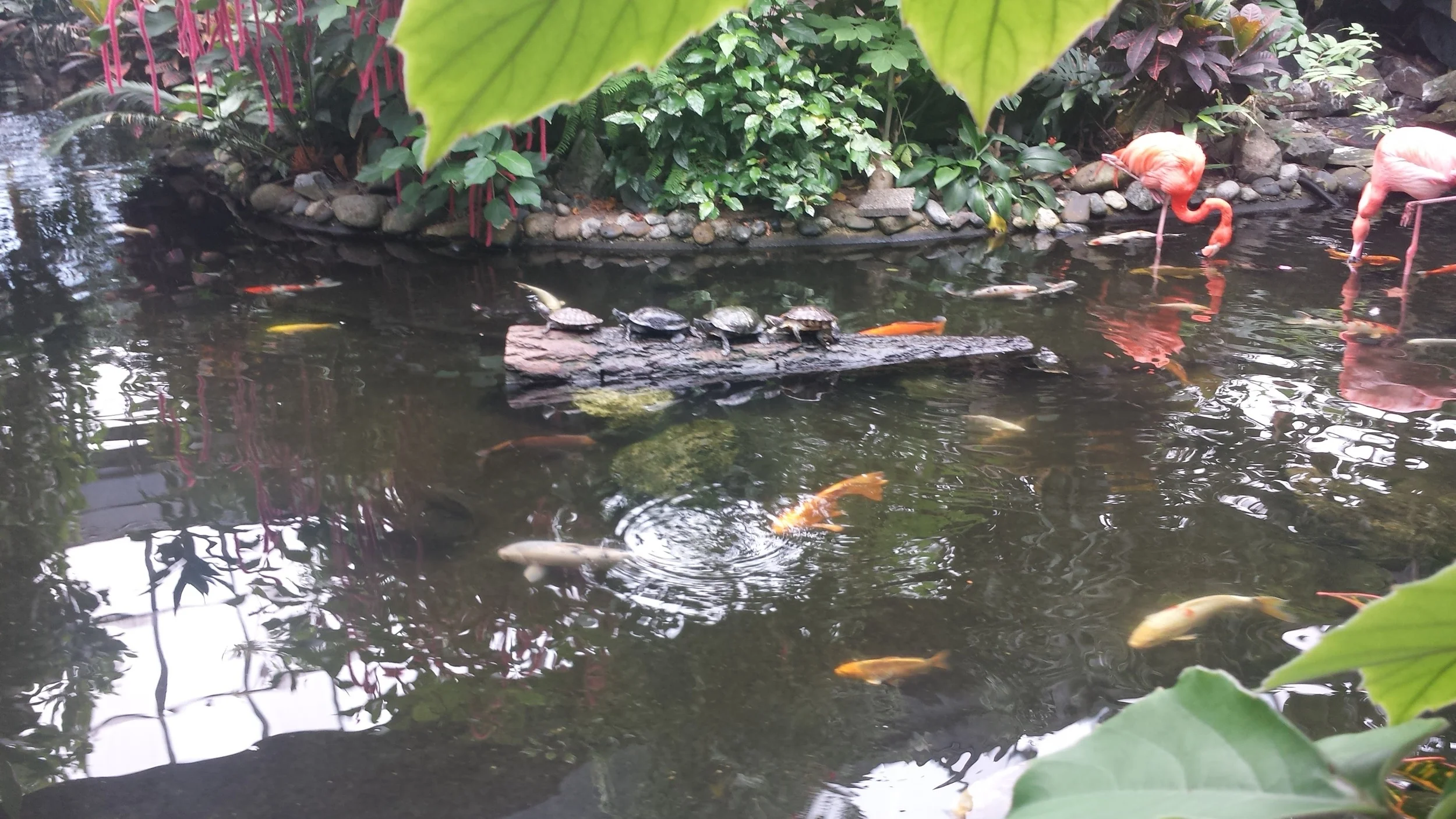 20160623_125631.jpg