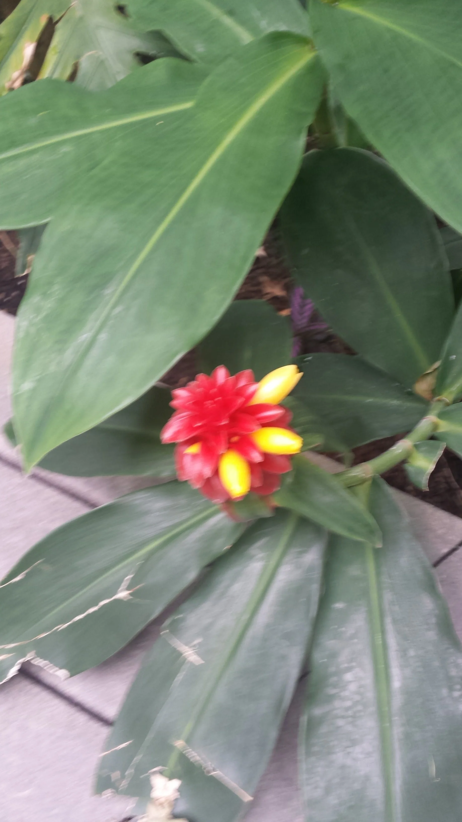 20160623_125721.jpg