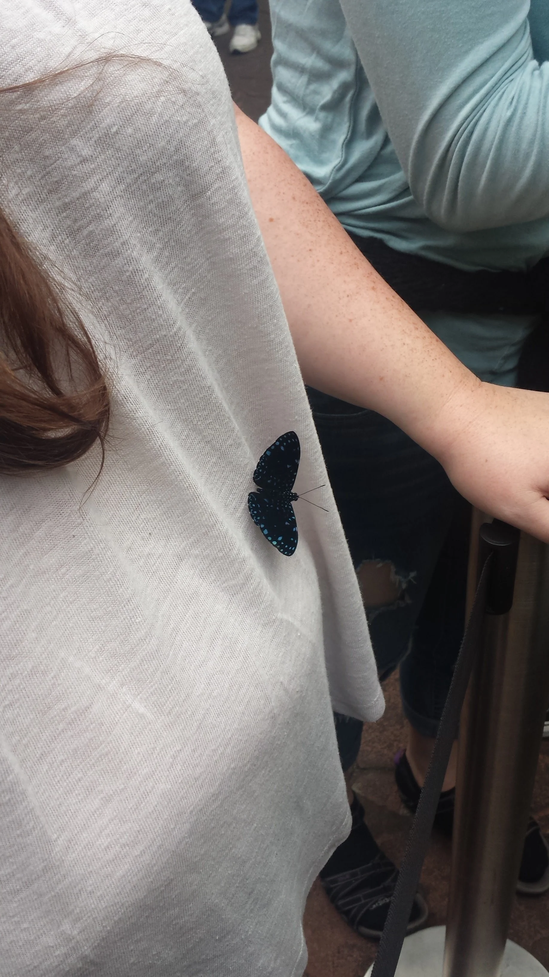 20160623_130302.jpg