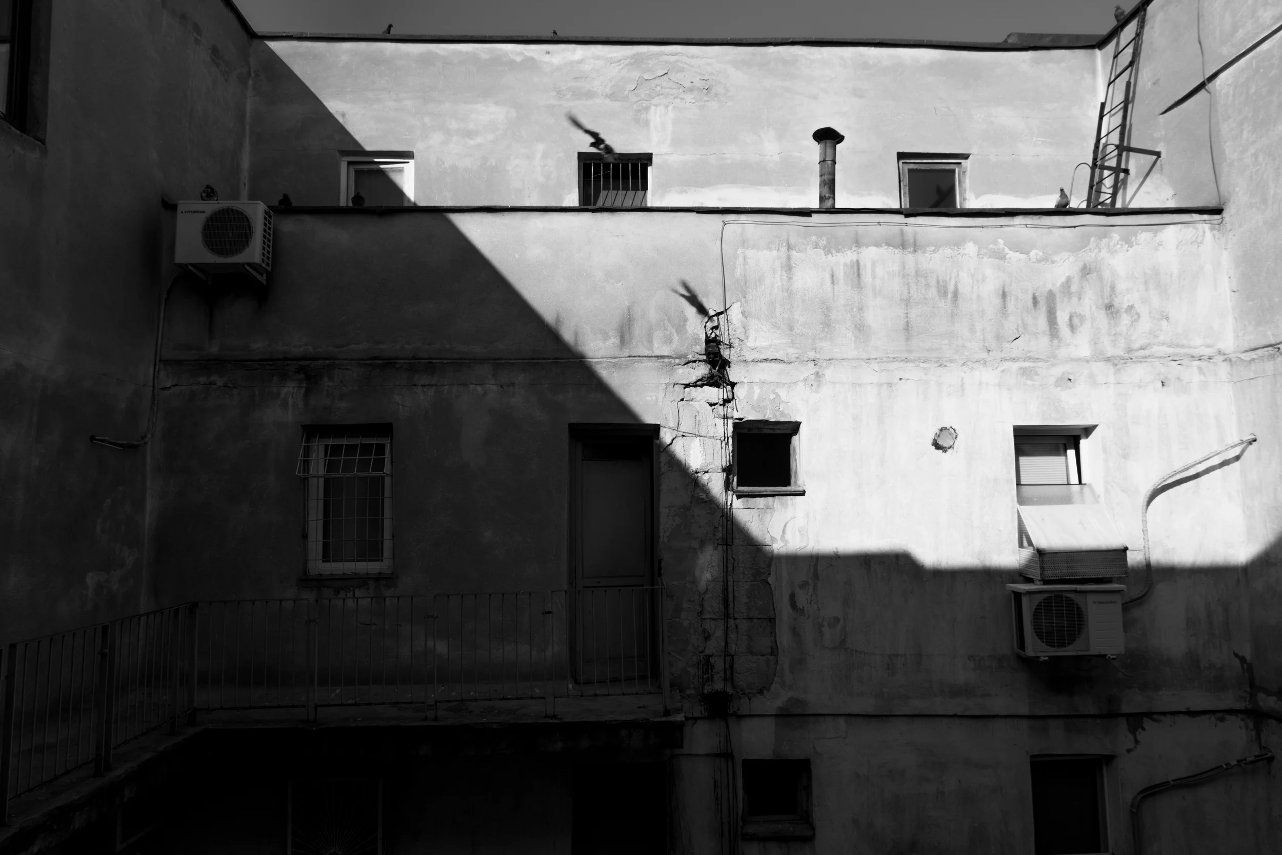 20131024-2K5A6267 copy.jpg