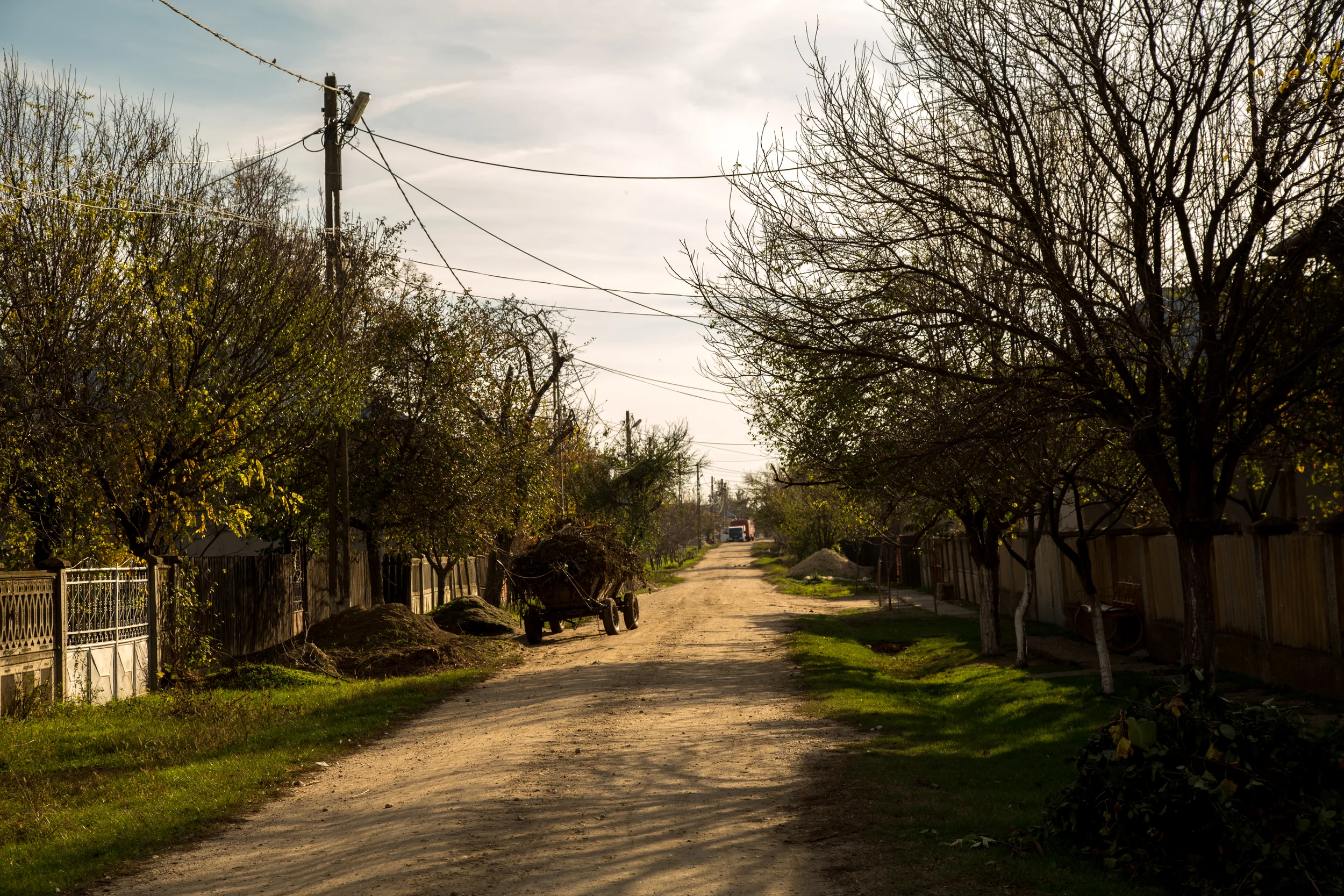 20131104-2K5A7458.jpg