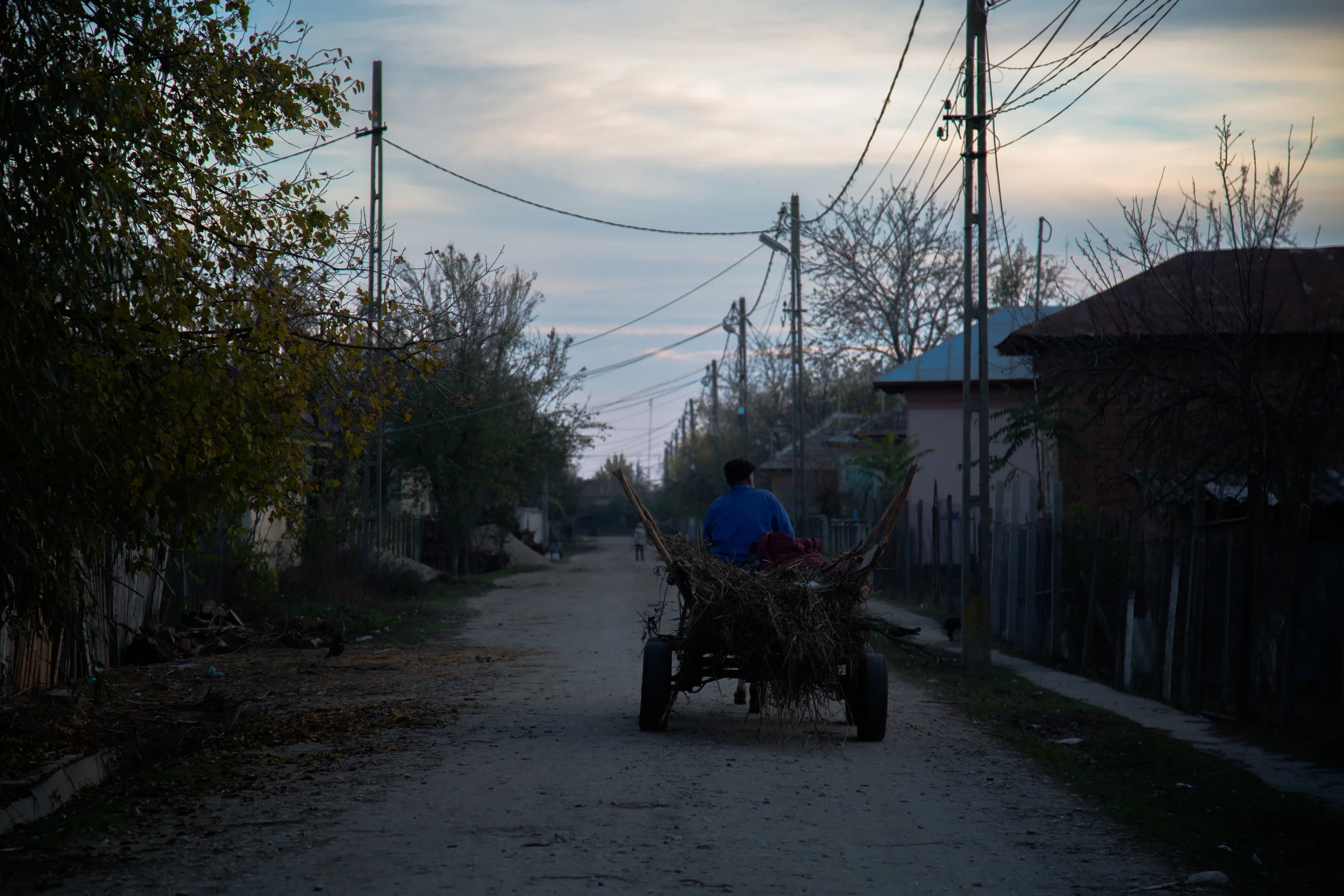 20131104-2K5A7705.jpg