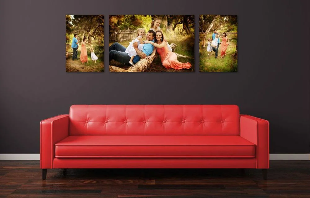 iStock_000012682140Large.jpg