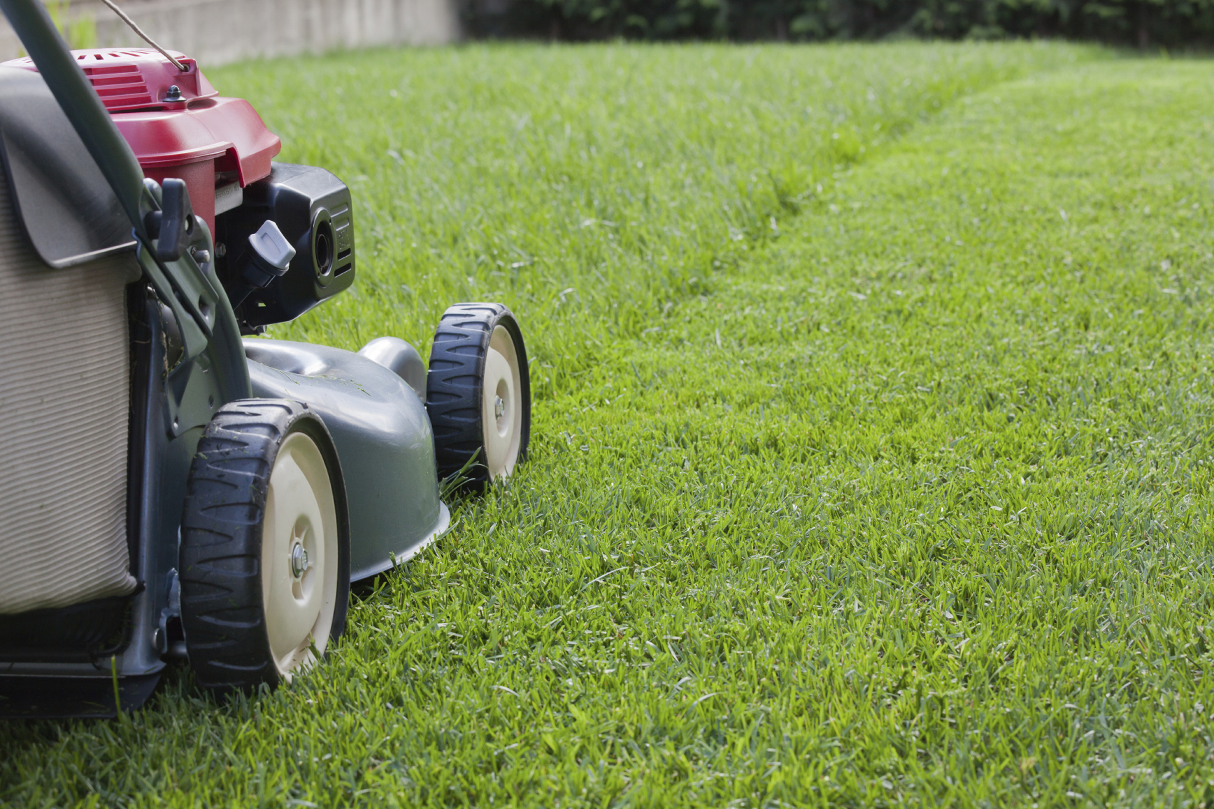 Lawn-Mowing-place-holder.png