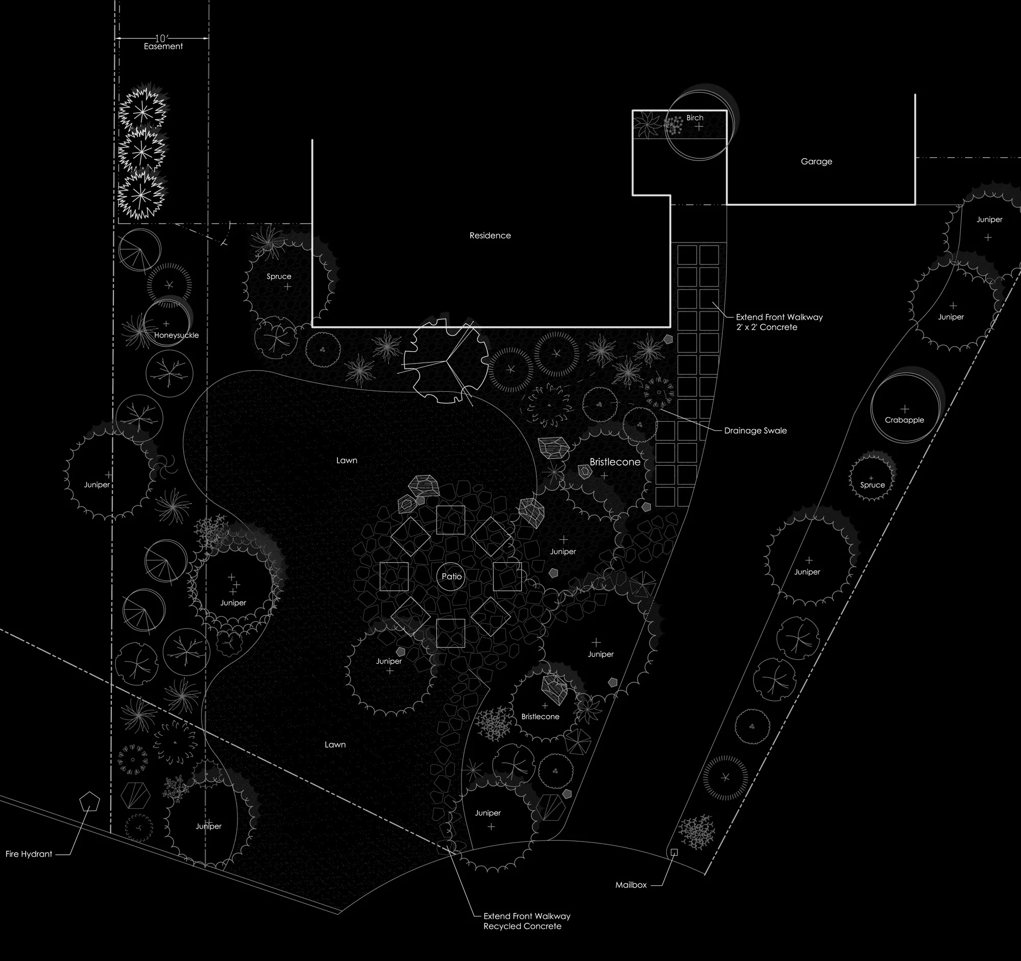 Caram_C3_plants_for web.jpg