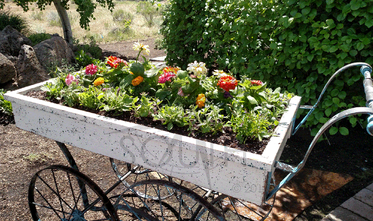 DIY projects can be fun and reflect your character and interests throughout your landscape.