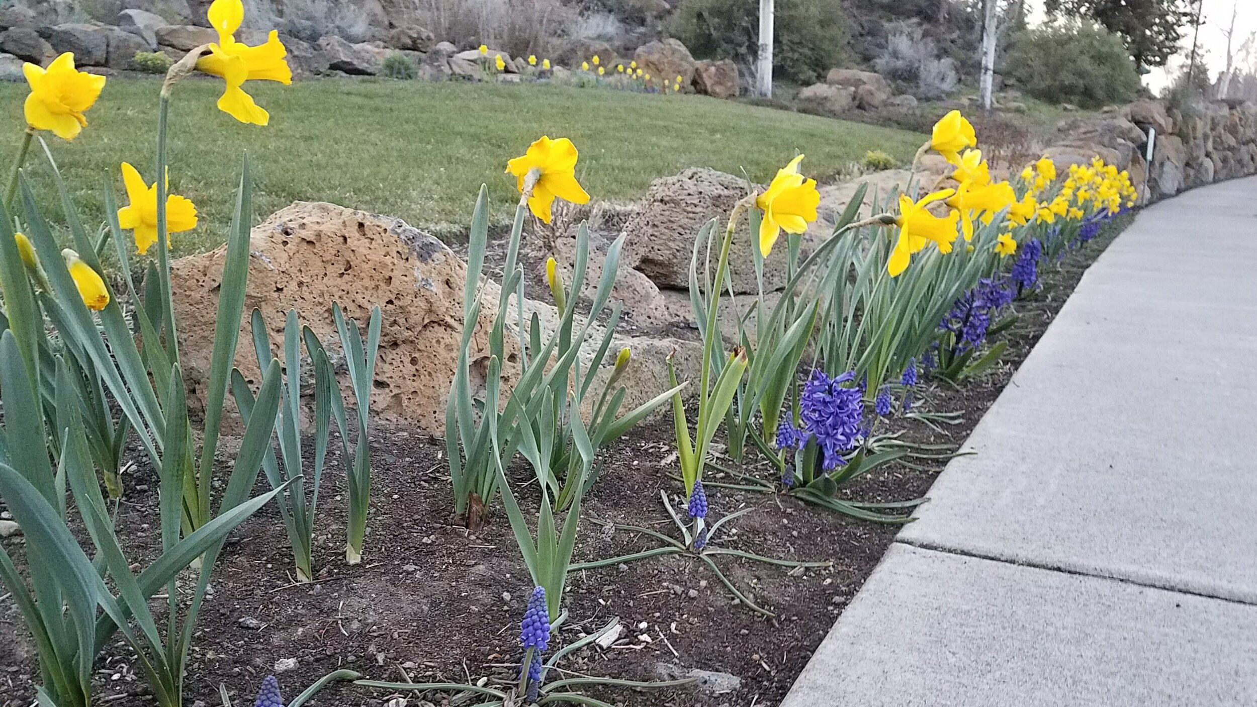 20170414_194808.jpg