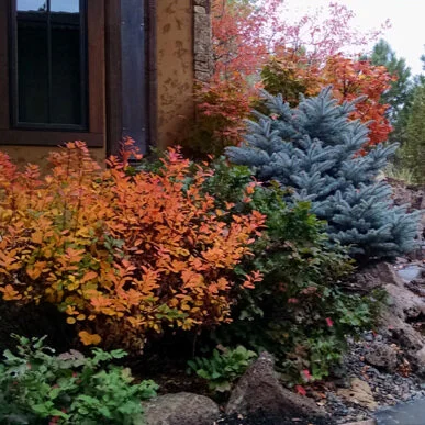 Fall Landscape Check List