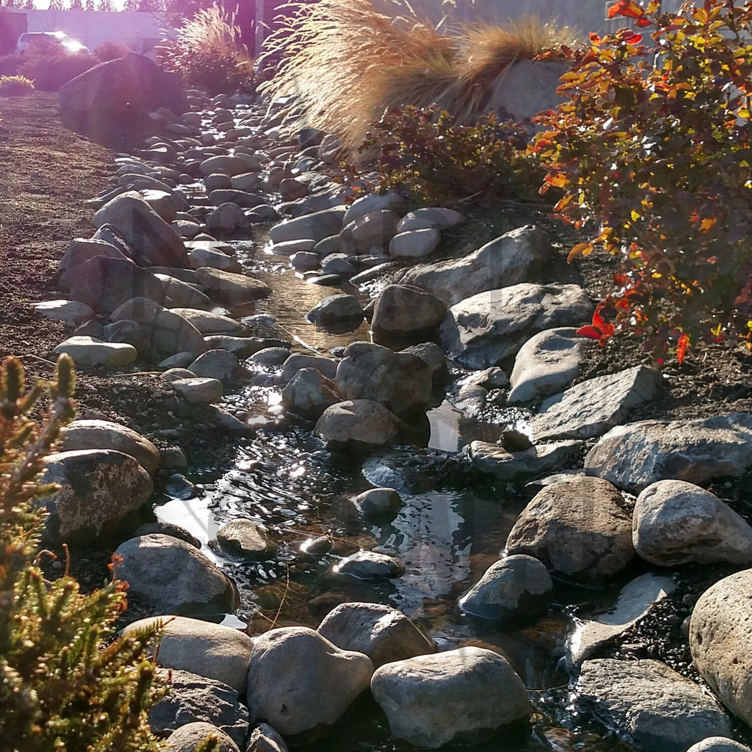 Landscape &amp; Stormwater Best Practices