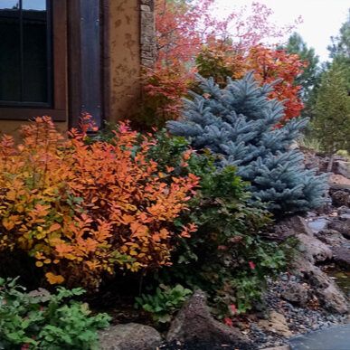 Beautiful Fall Color