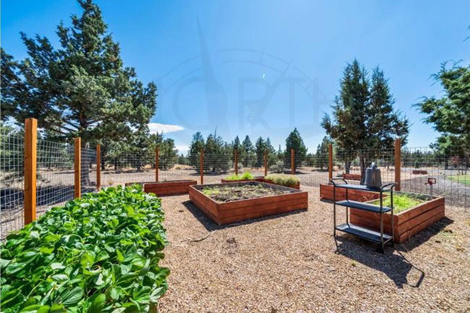 Vegetable Garden