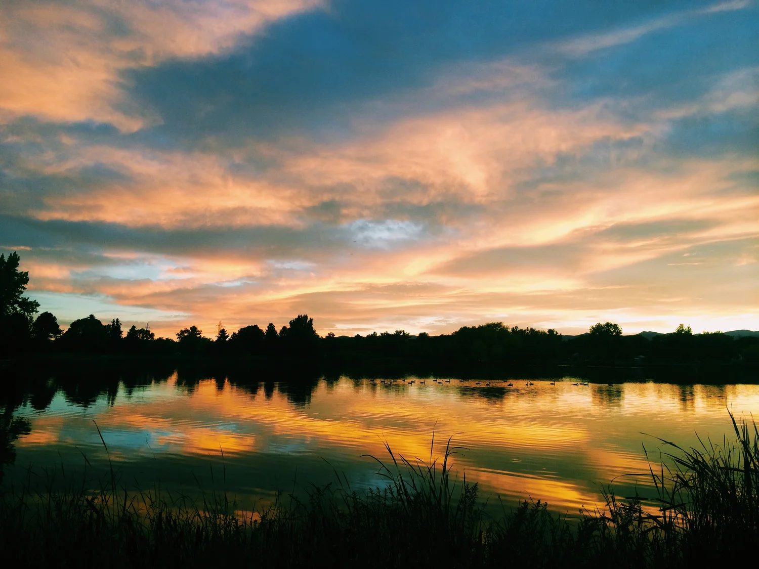 Mediation — Anderson Allen LLC