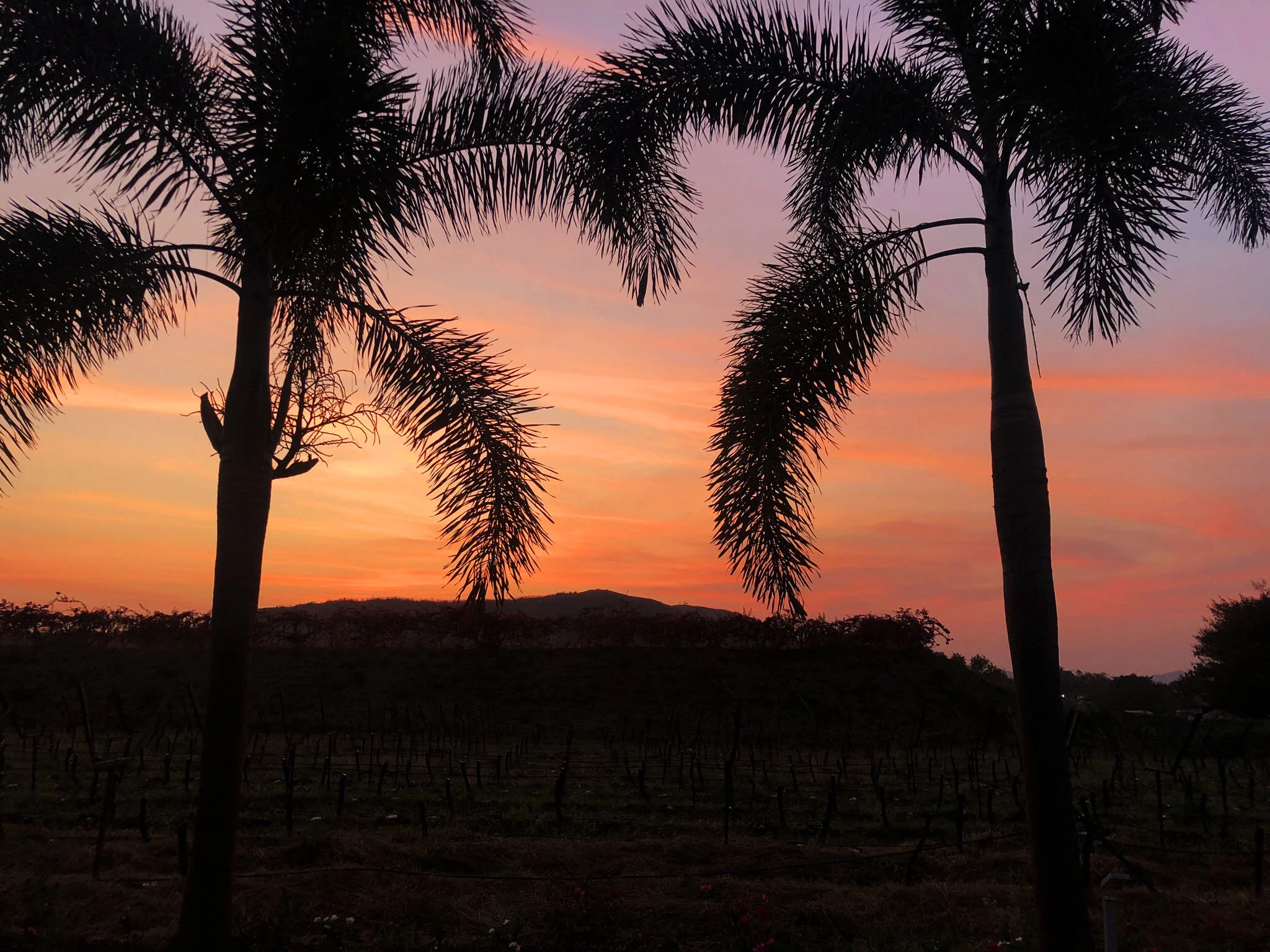 Sunset Sula.jpg