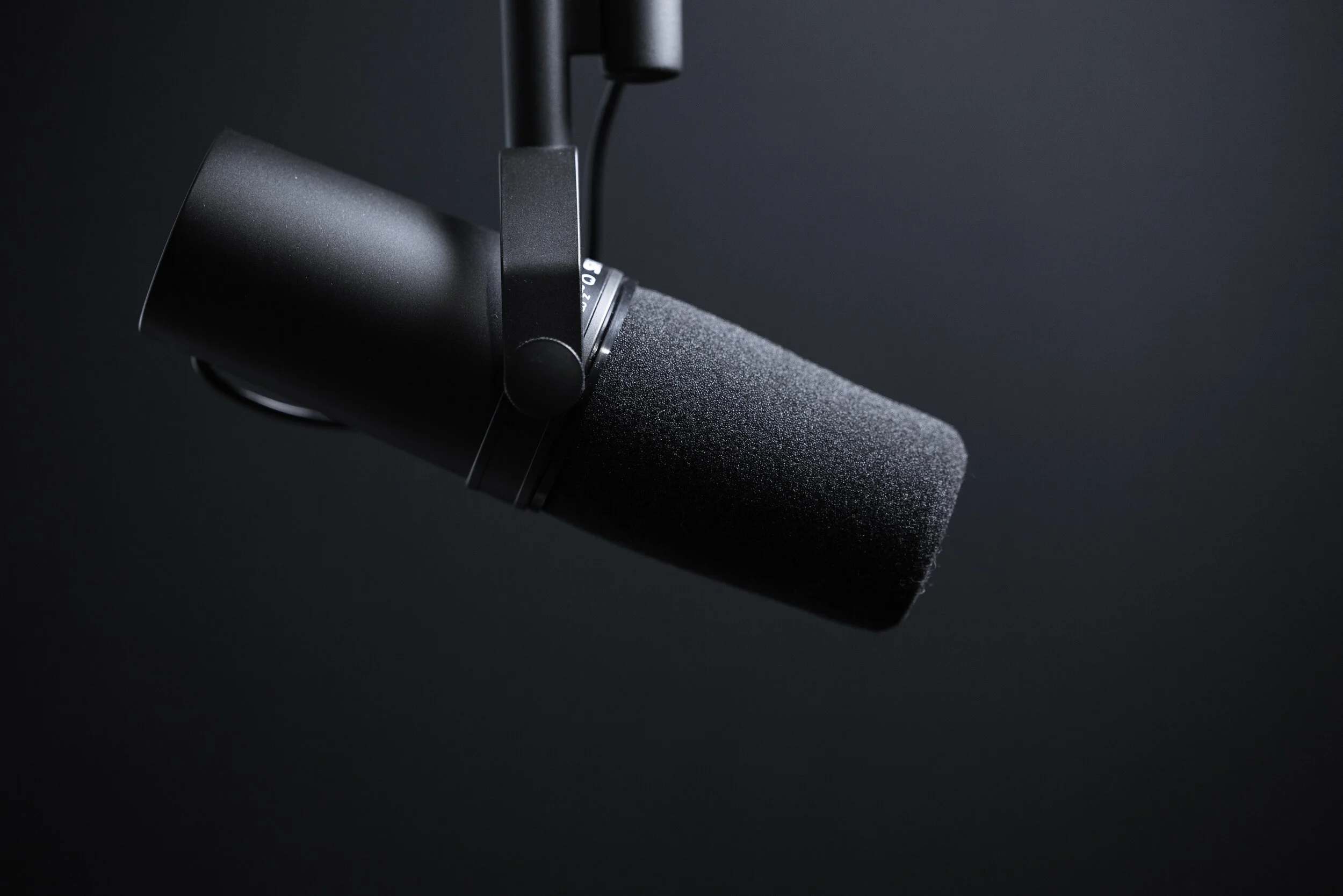 The Bibliophile Podcast Guide