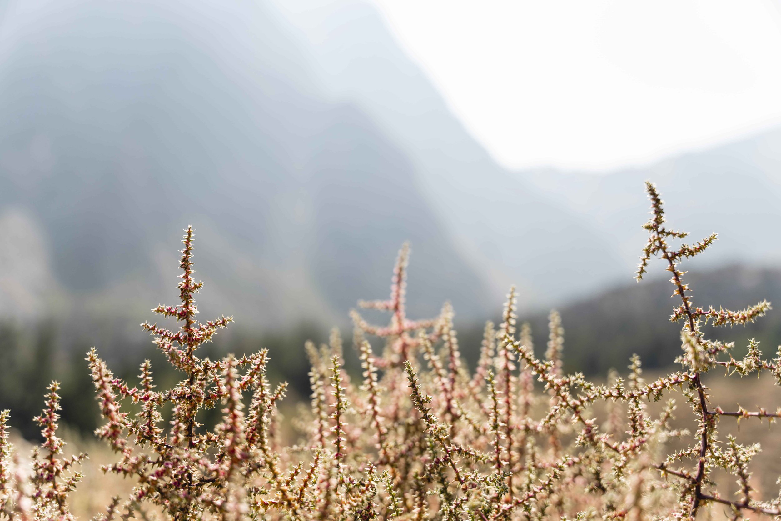 Yosemite_20210913-28.jpg