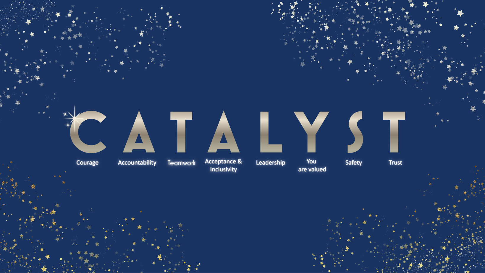 Facebook - Catalyst Values Infographic.png